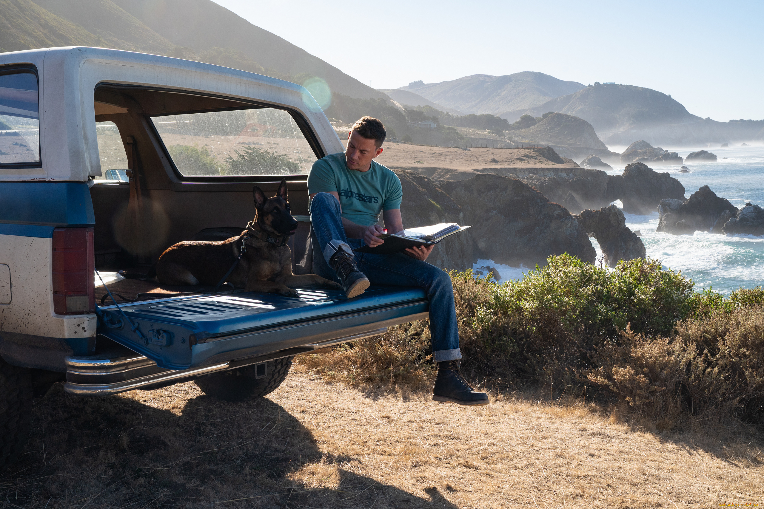 dog, ||, 2022, кино, фильмы, dog, лулу, и, бриггс, кадры, из, фильма, комедия, драма, ченнинг, татум, author, oreskis, channing, tatum