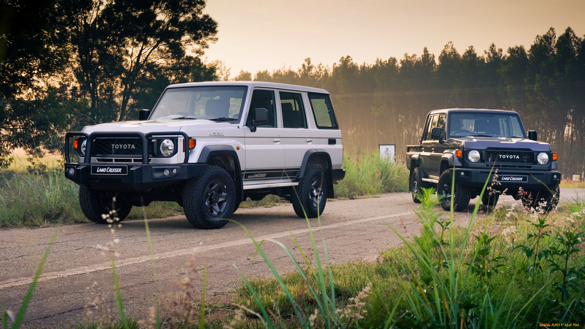 автомобили, toyota