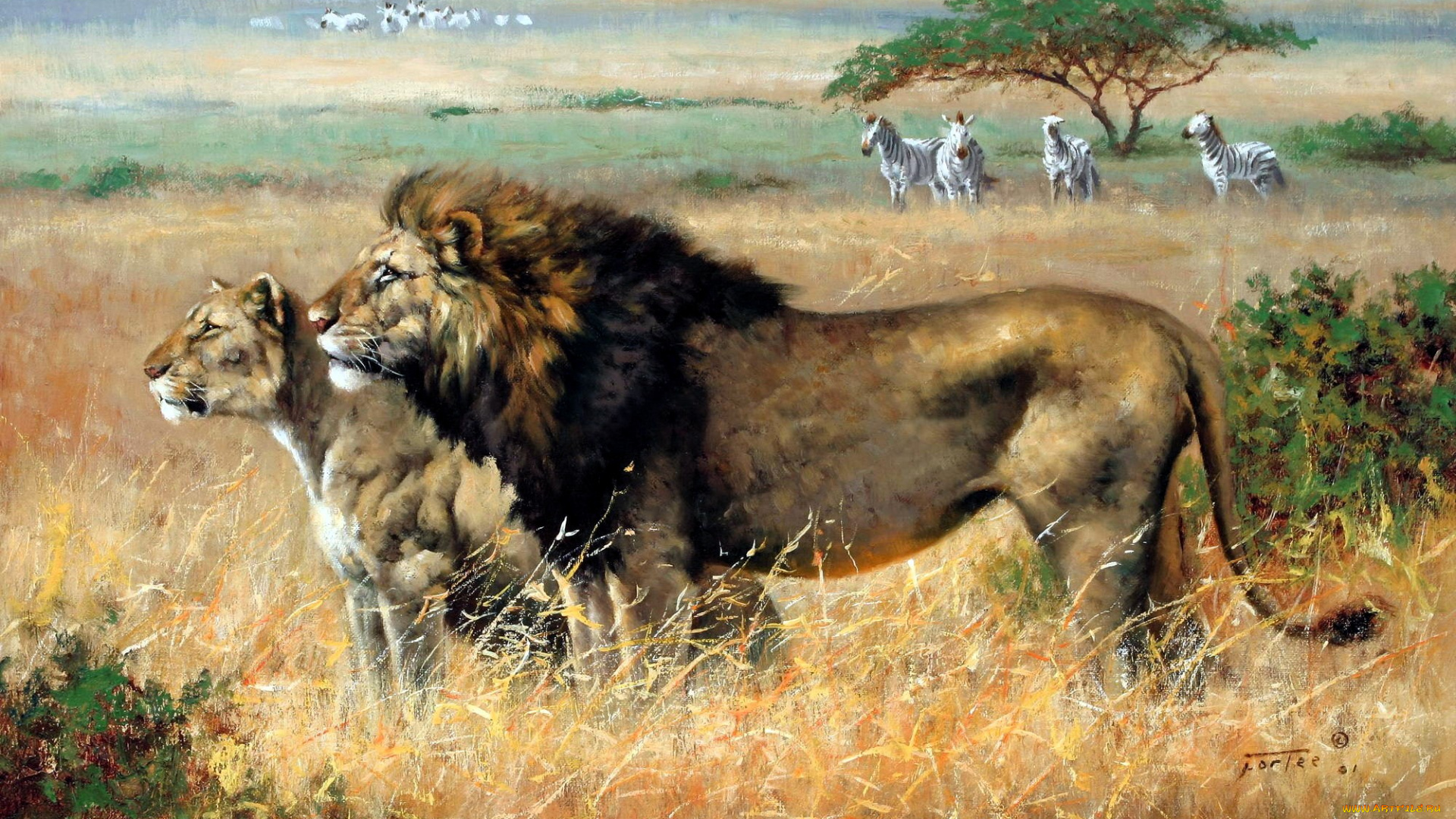 рисованное, eric, forlee, львы, зебры, саванна