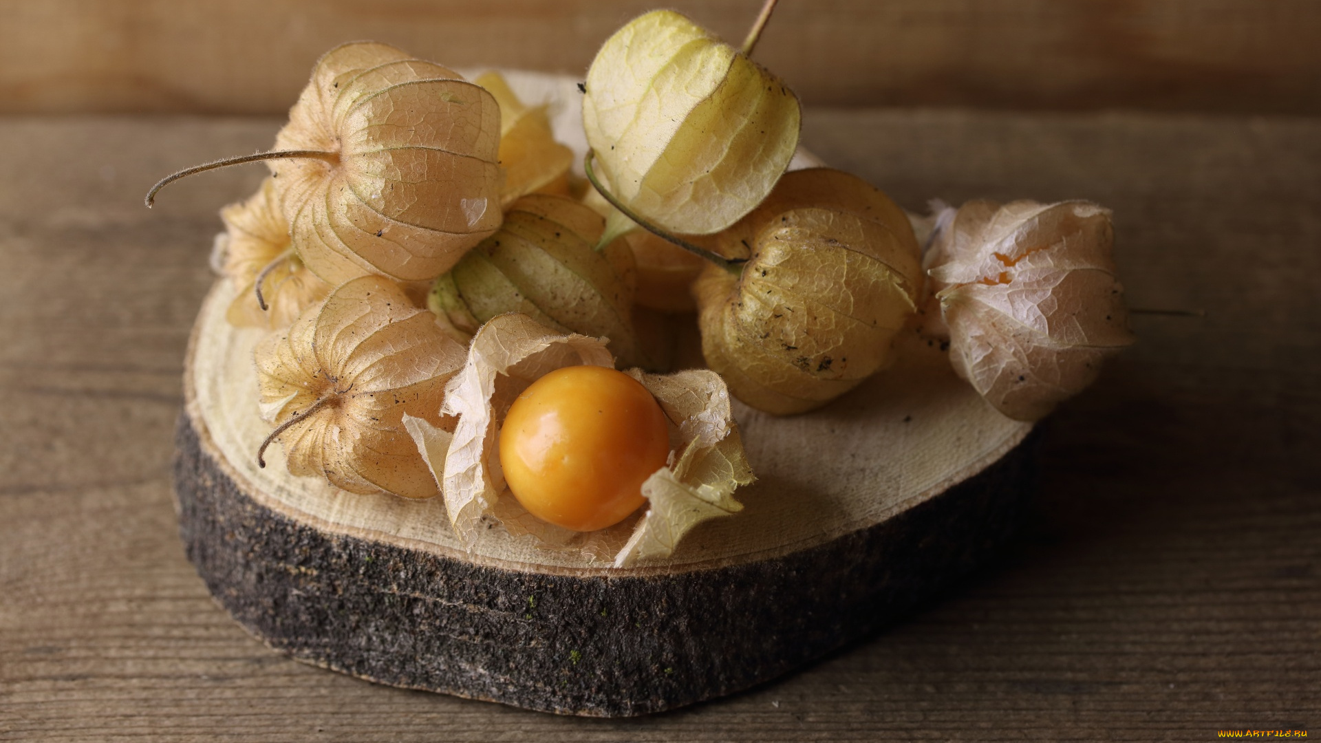 еда, физалис, макро