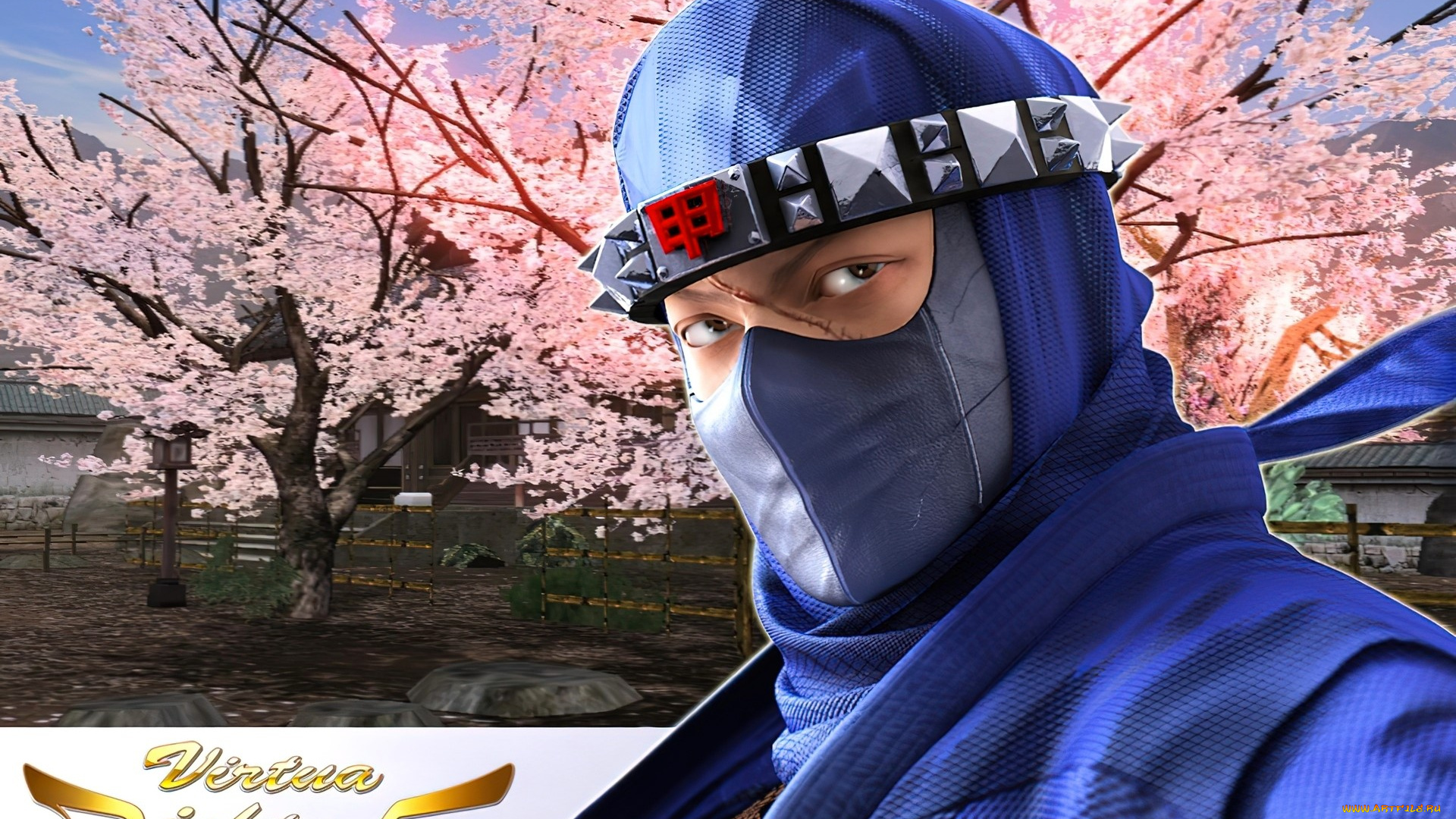 видео, игры, virtua, fighter, 5, персонаж, костюм, весна, деревья, цветение