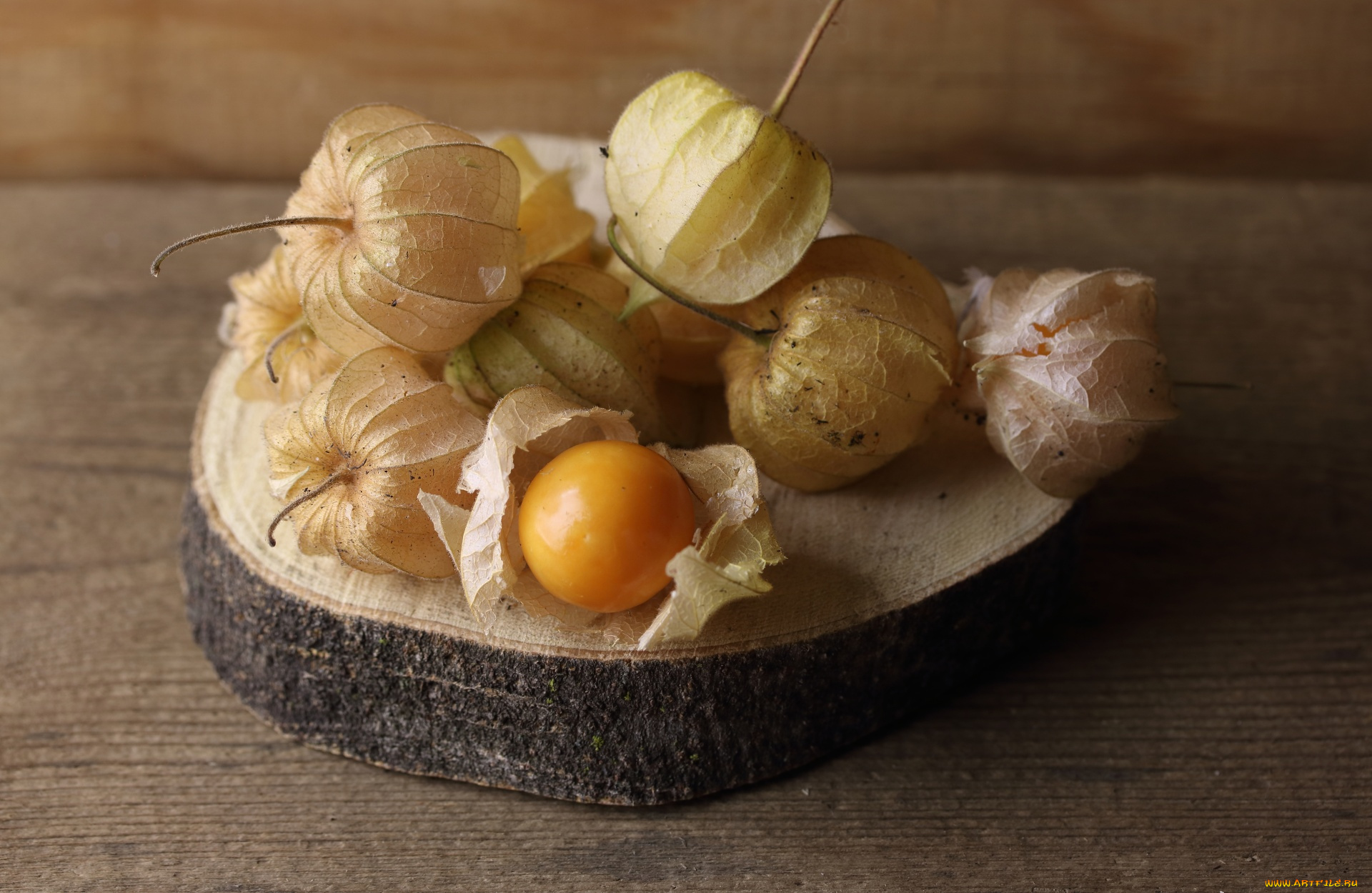 еда, физалис, макро