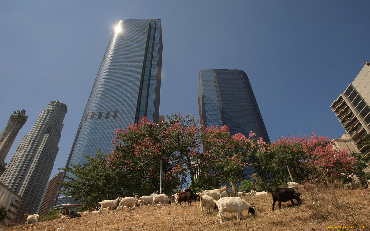 города, здания, дома