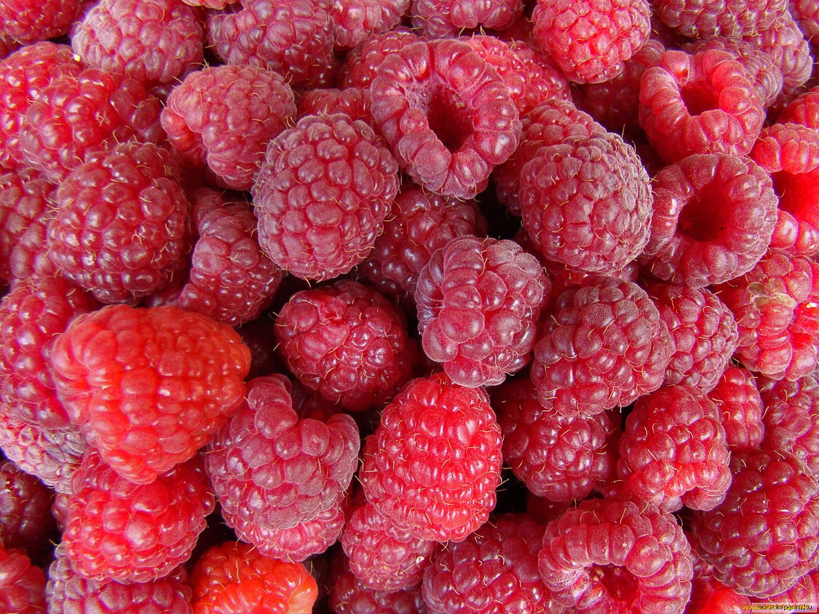 еда, малина