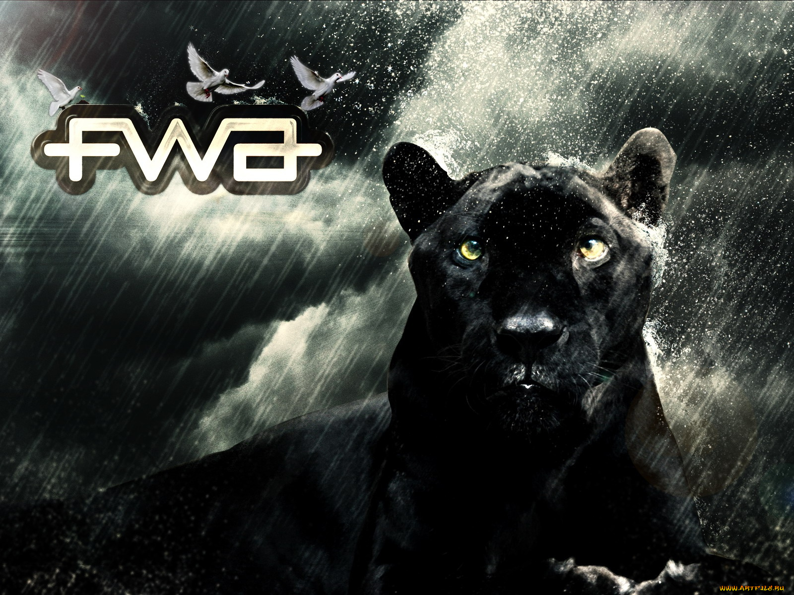 разное, надписи, логотипы, знаки