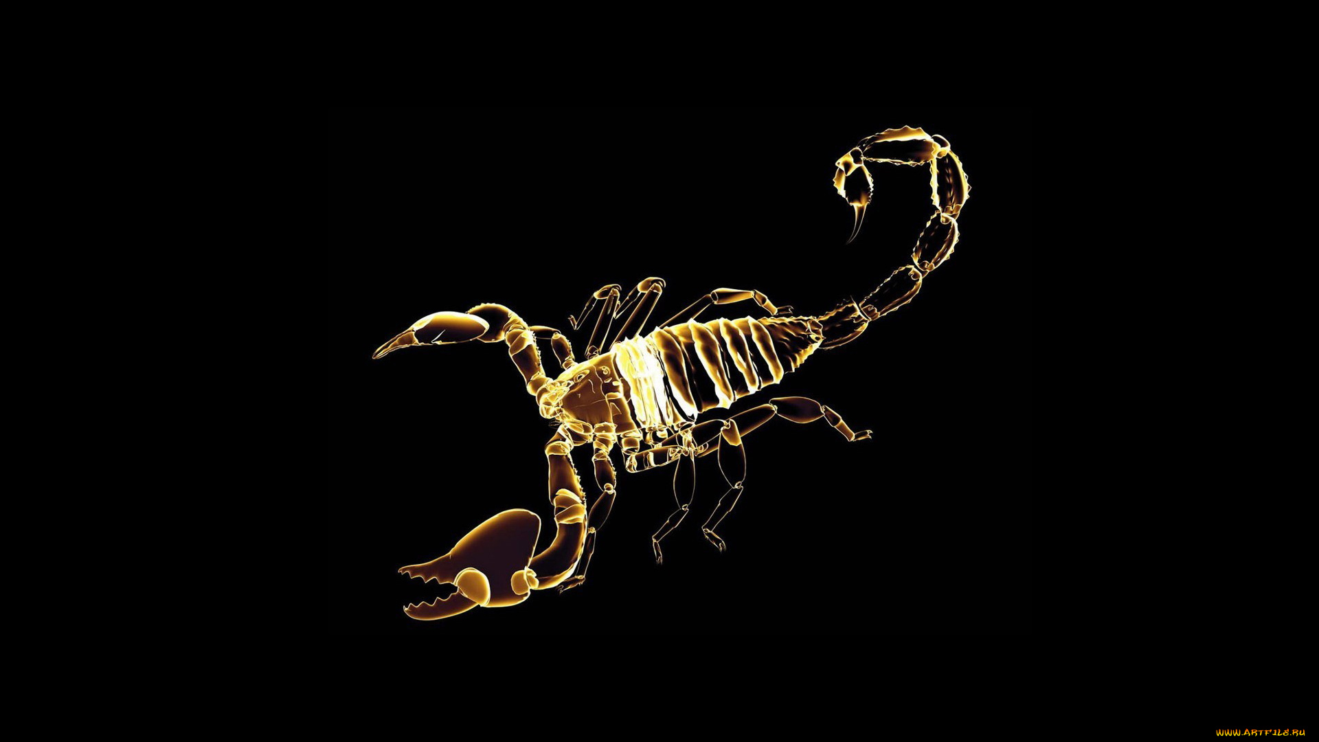 3д, графика, animals, животные, скорпион