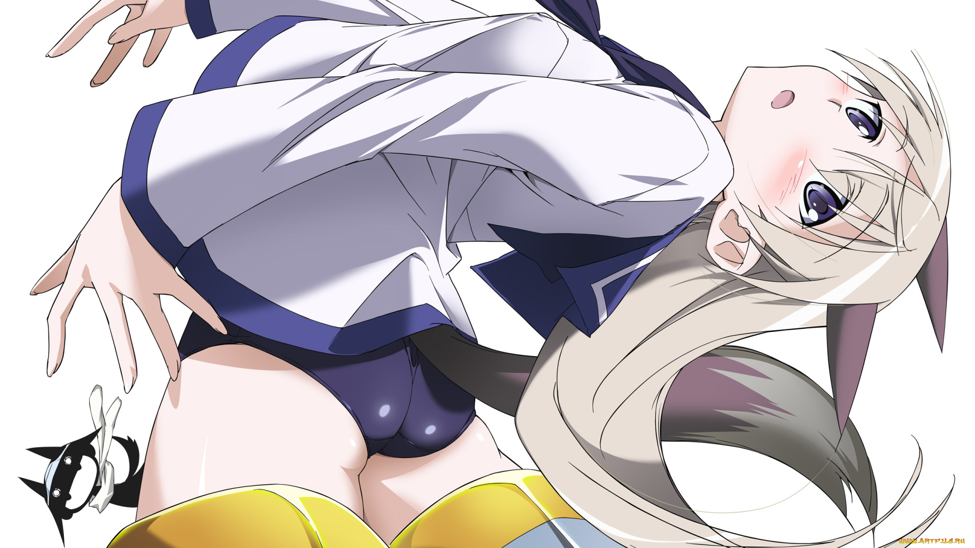 аниме, strike, witches