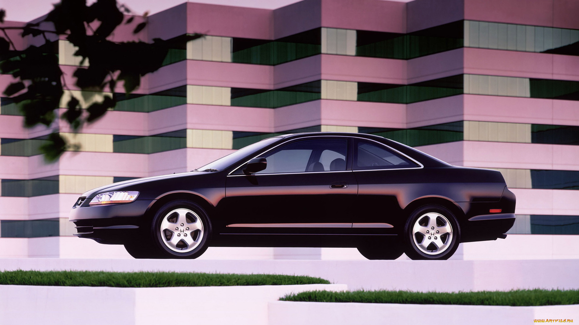 автомобили, honda, accord