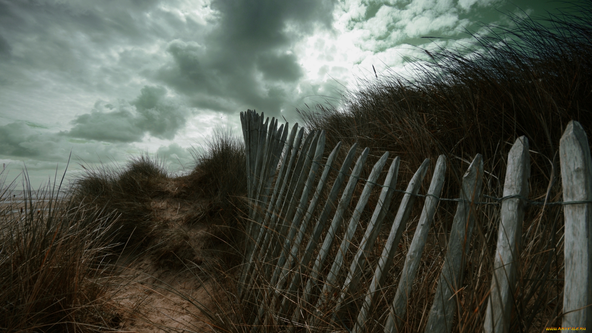 природа, другое, небо, тучи, забор, растения