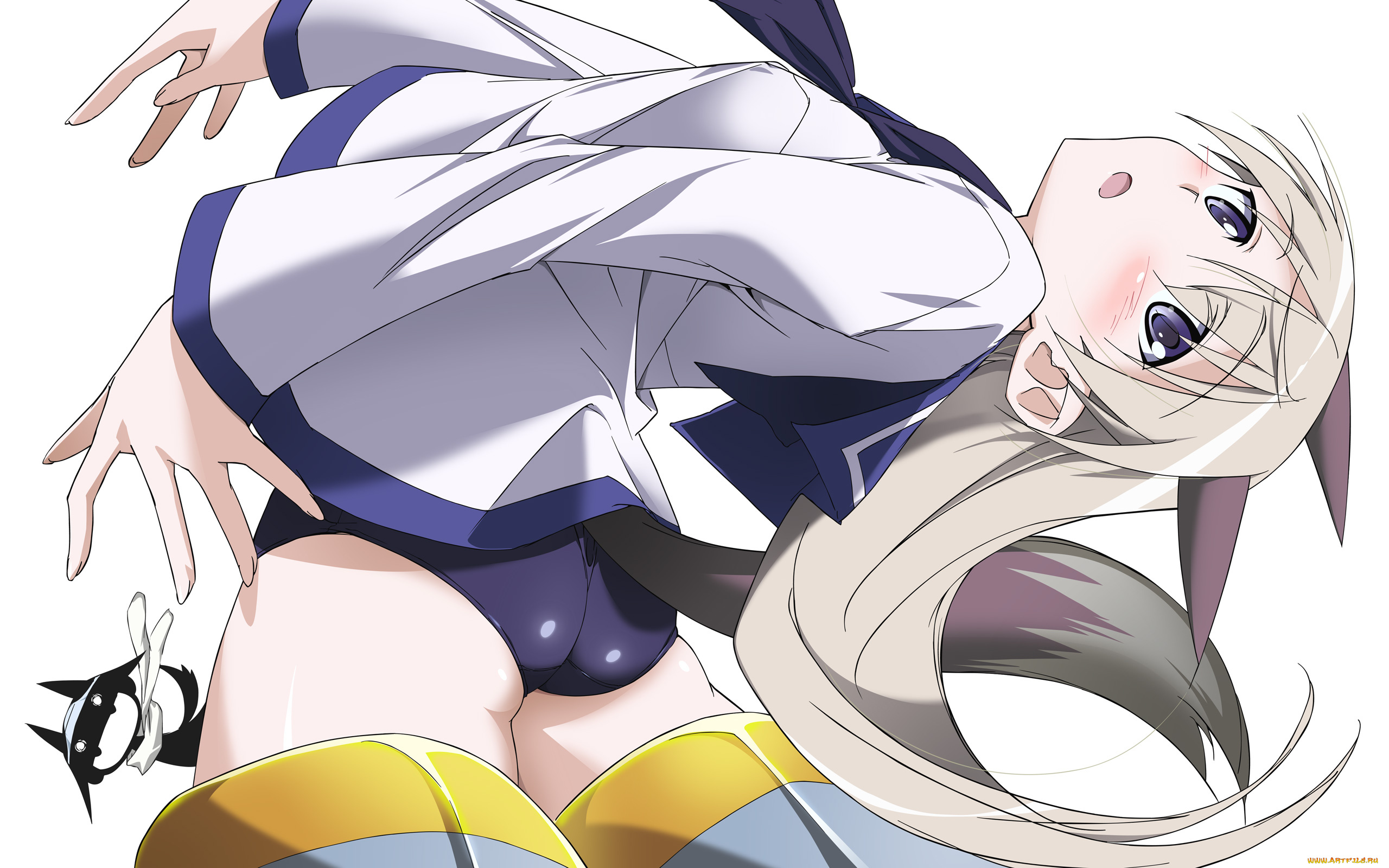 аниме, strike, witches