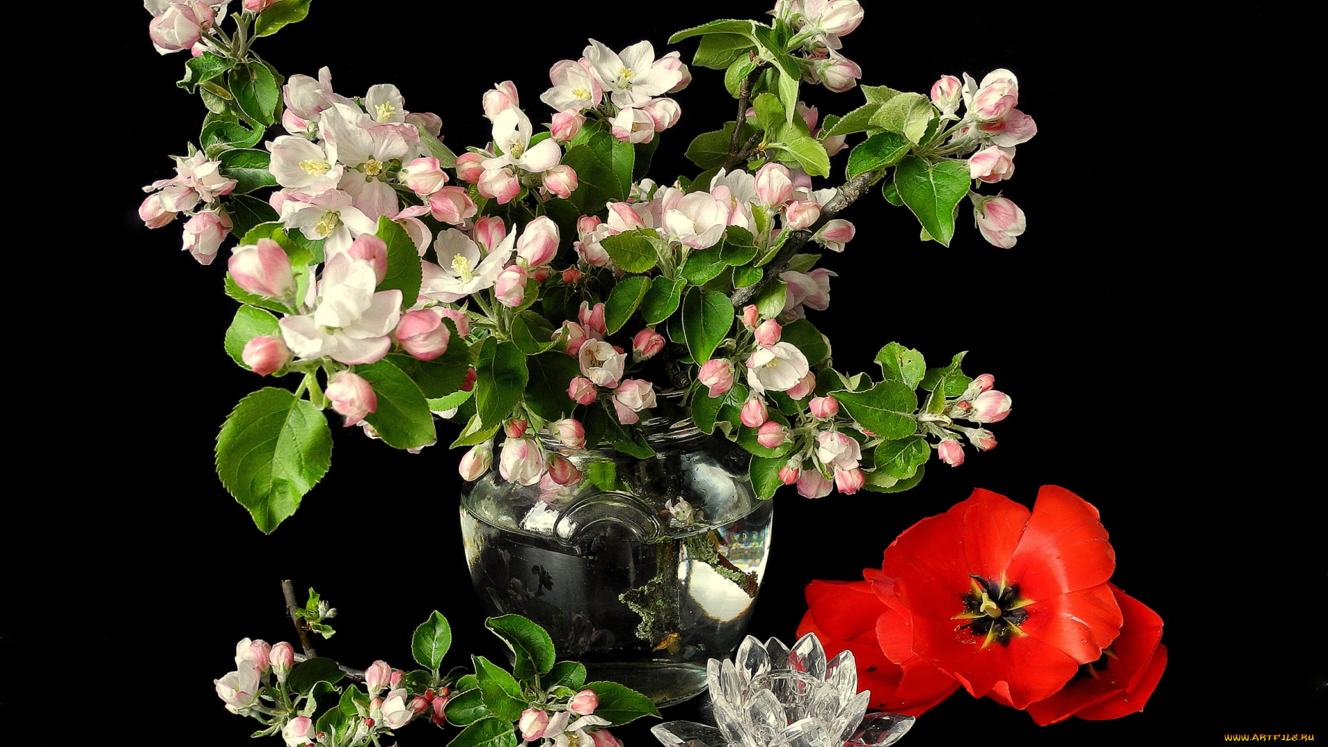 цветы, разные, вместе, яблоня, тюльпаны, ваза