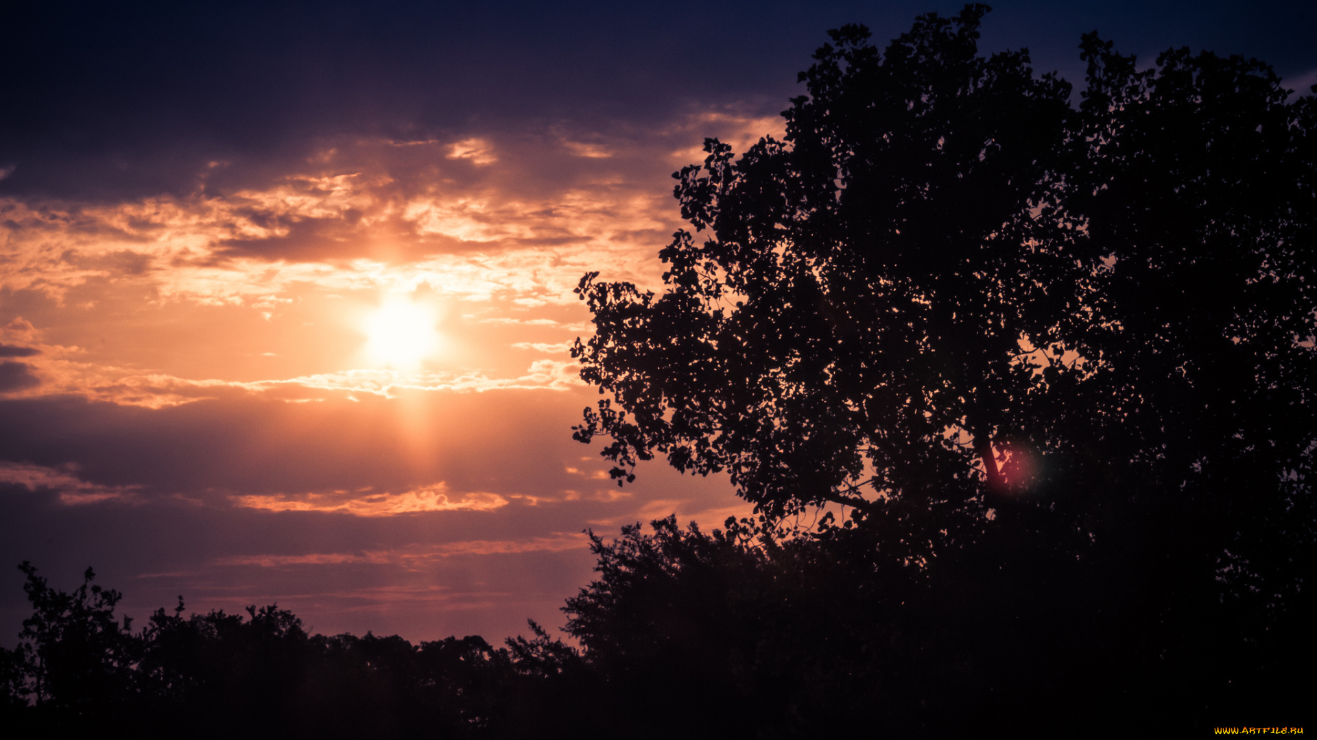 природа, восходы, закаты, сумерки, облака, солнце, деревья, вечер