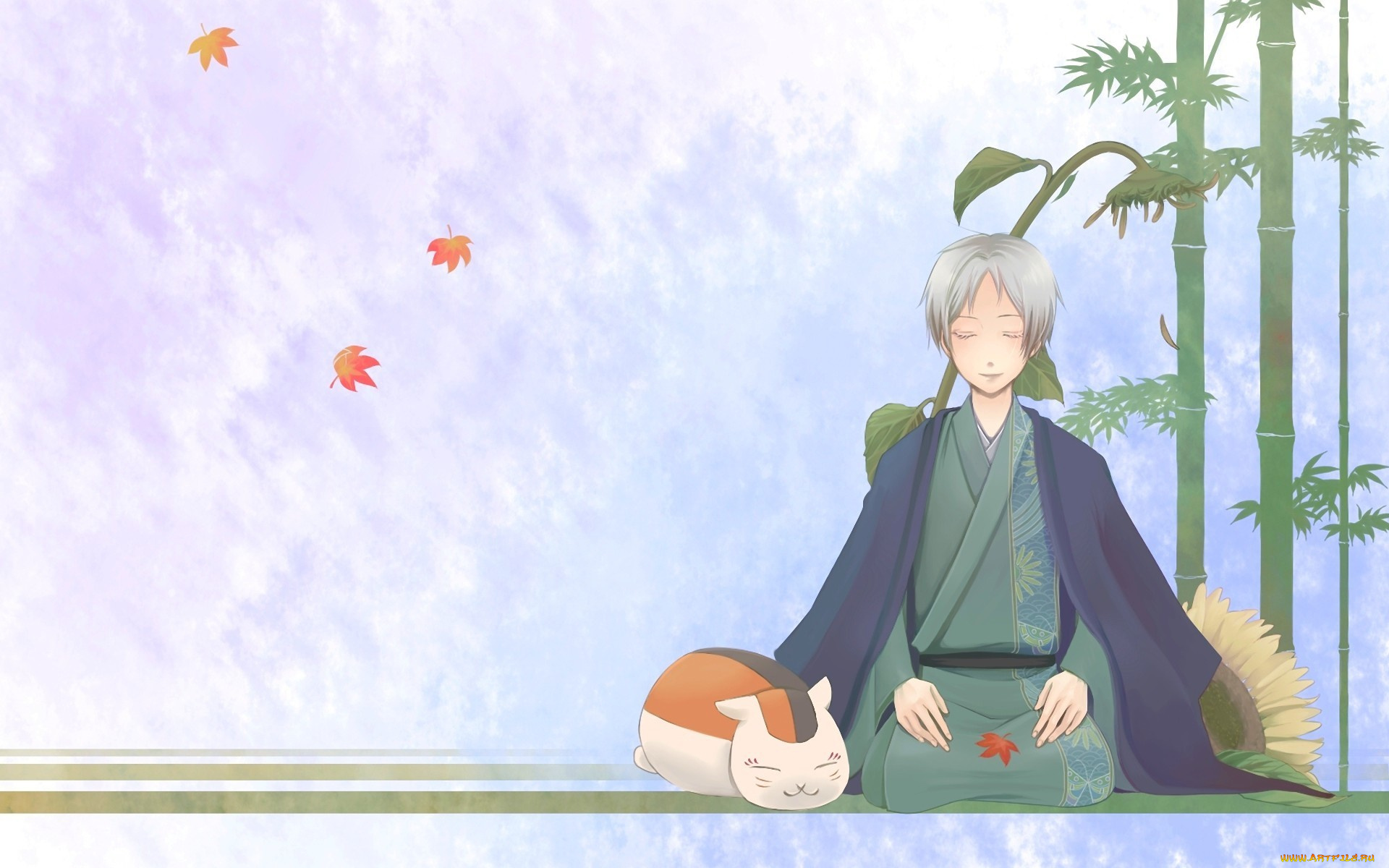 аниме, natsume, yuujinchou, подсолнух, кот, парень, madara, рисунок, бамбук, листья, natsume, yuujinchou, takashi