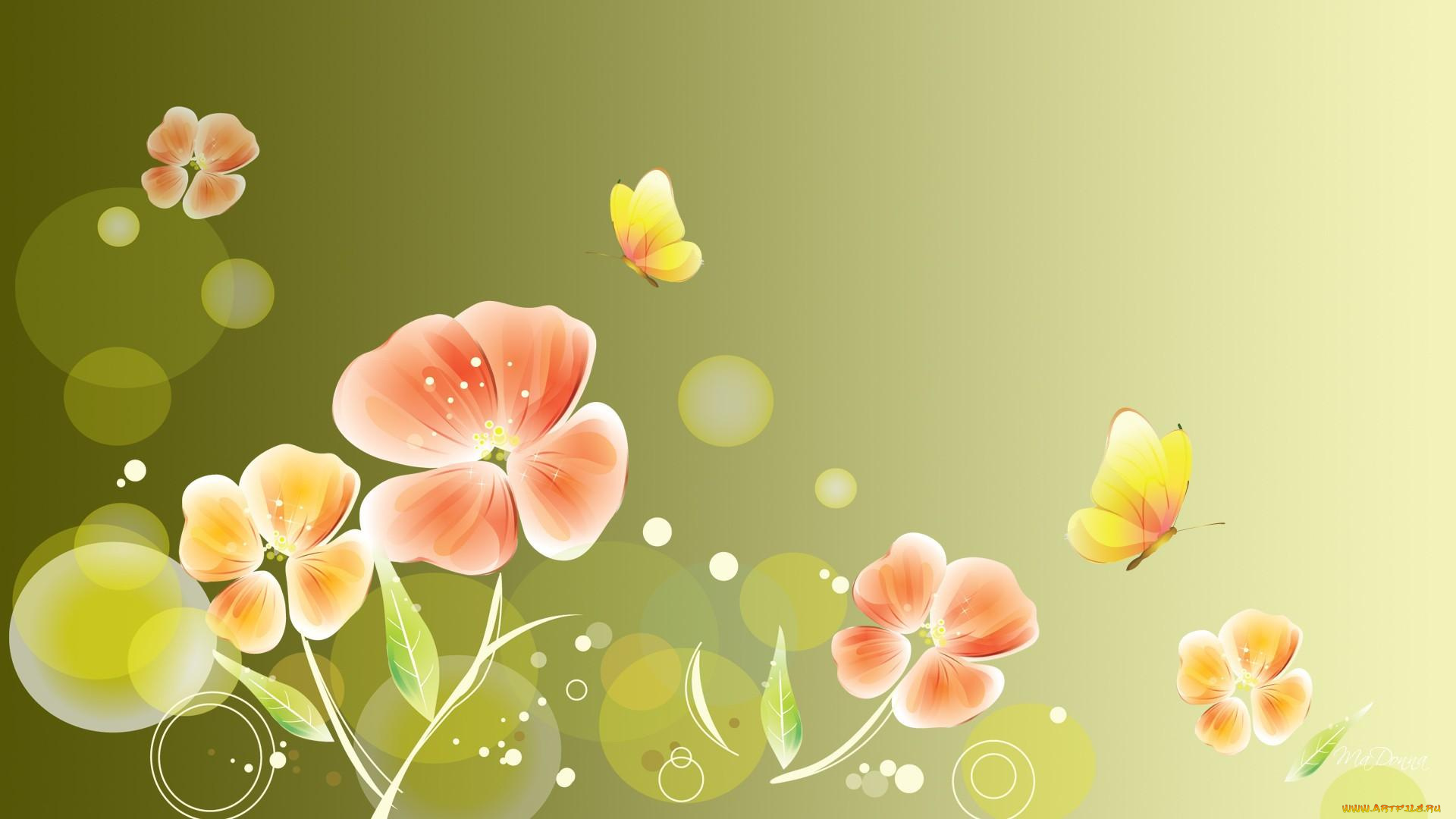 векторная, графика, цветы, , flowers, бабочки, фон, цветы