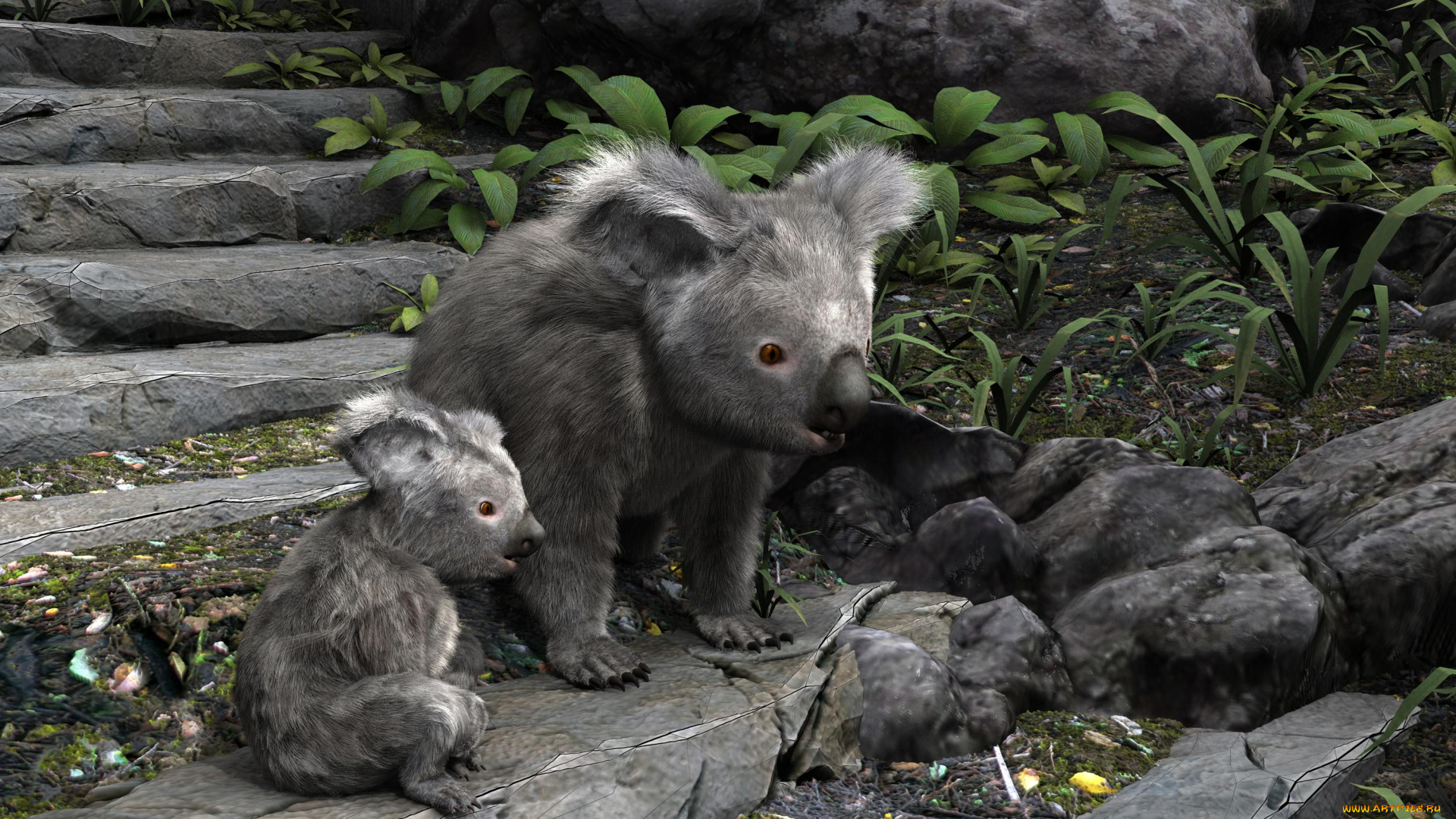 3д, графика, животные, , animals, коалы