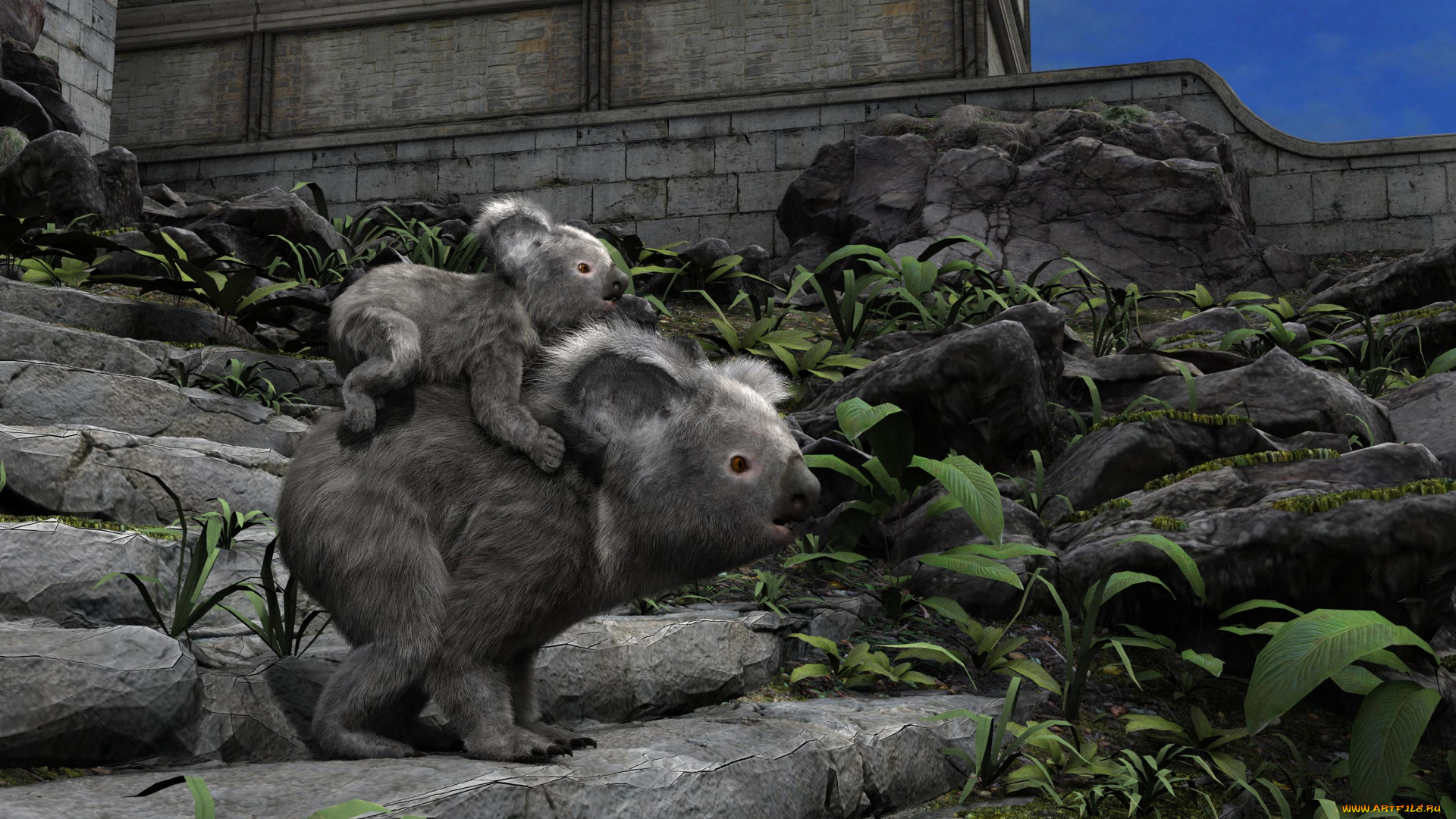 3д, графика, животные, , animals, коалы