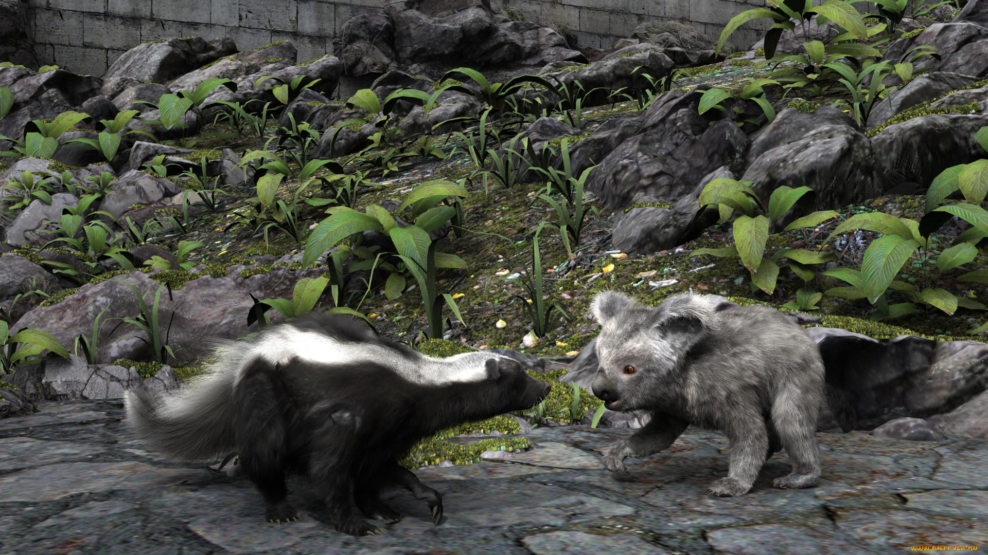 3д, графика, животные, , animals, коалы