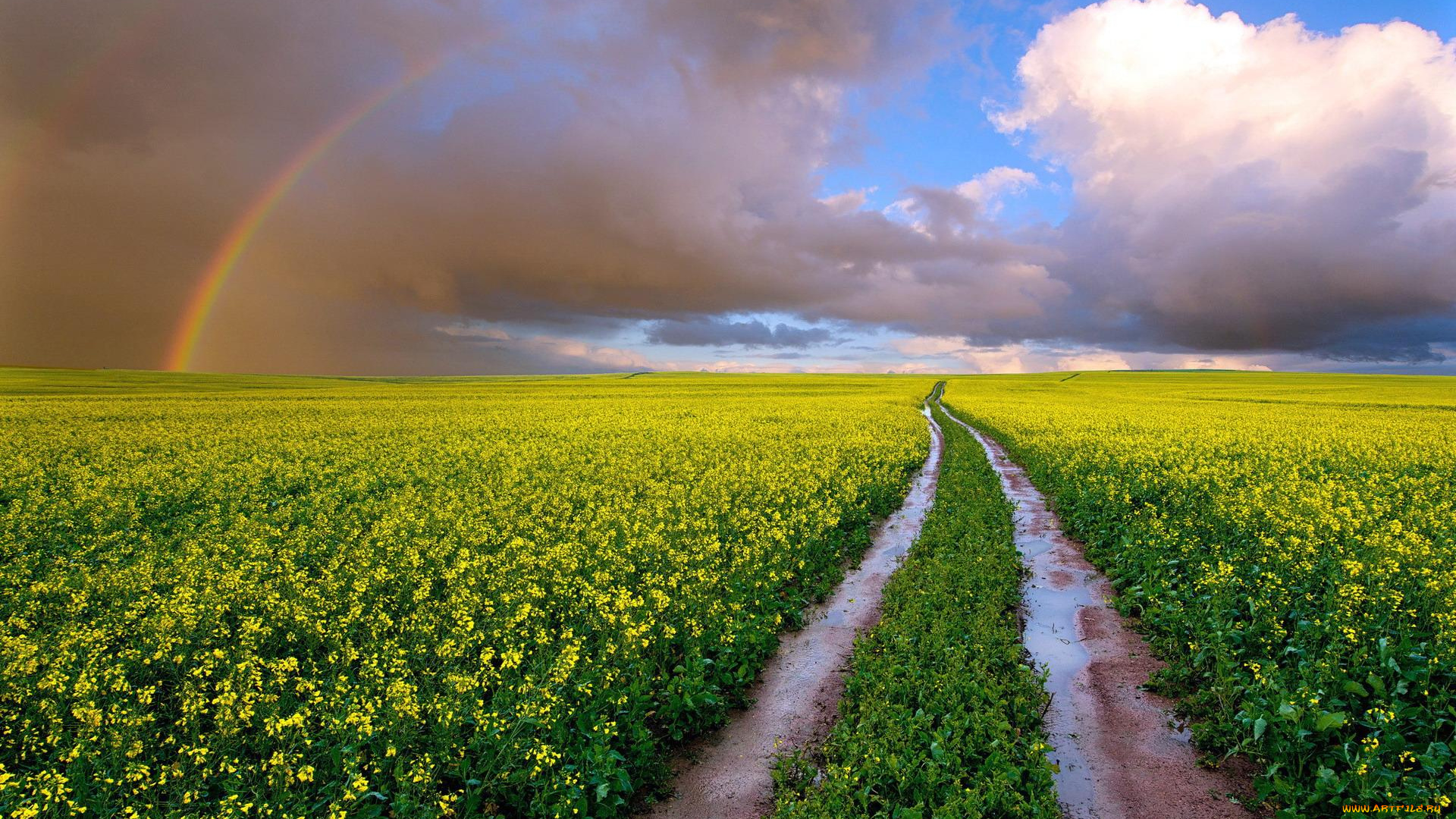 природа, радуга, небо, поля, тучи, дорога