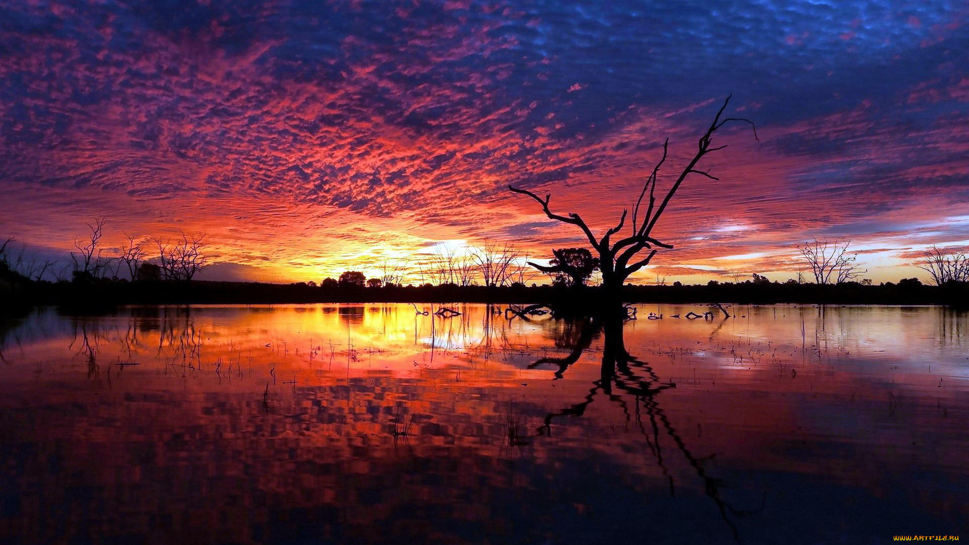природа, восходы, закаты, отражение, небо, закат, вечер, облака, озеро, деревья, вода