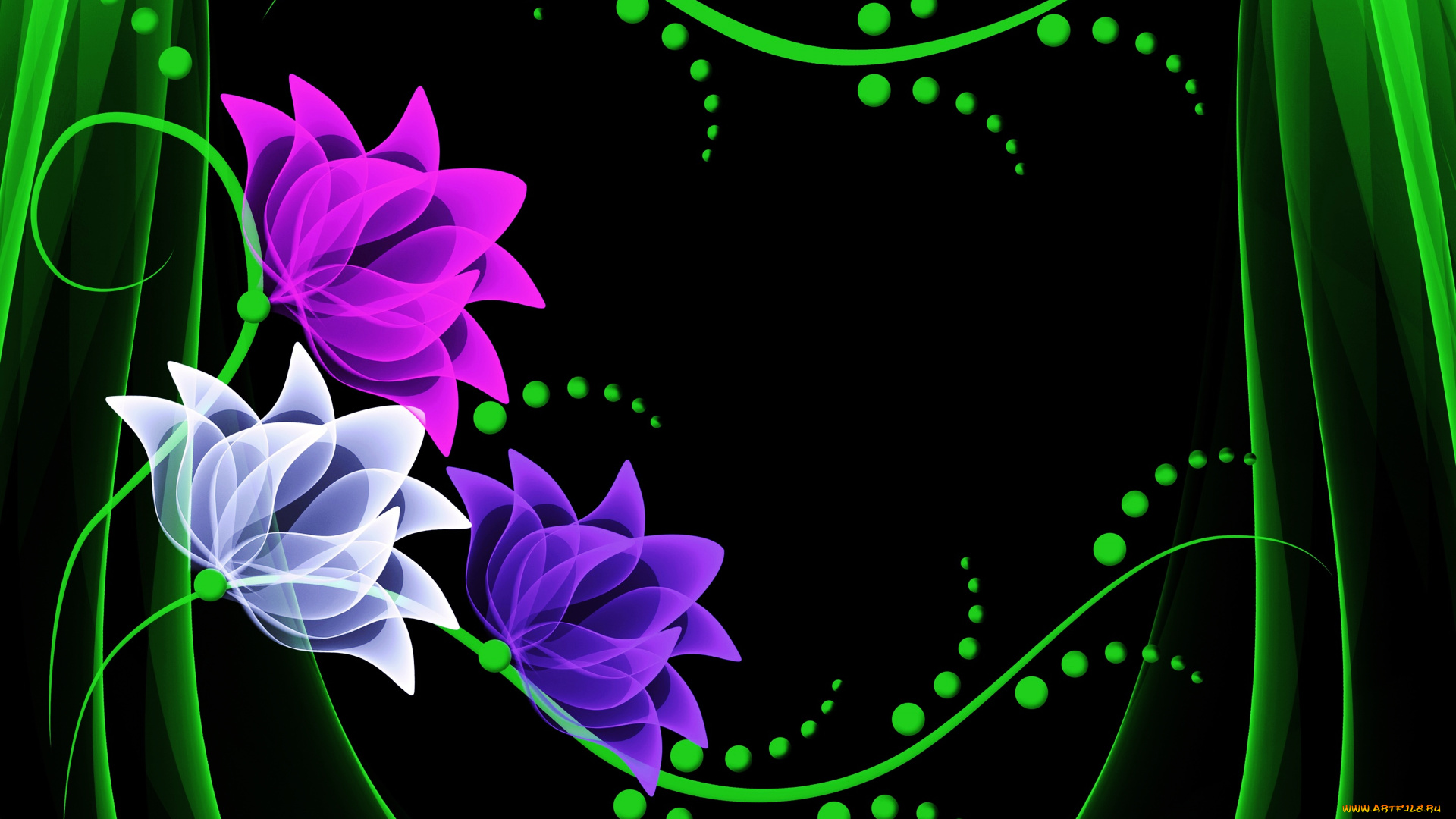 векторная, графика, цветы, , flowers, цветы, лепестки, фон