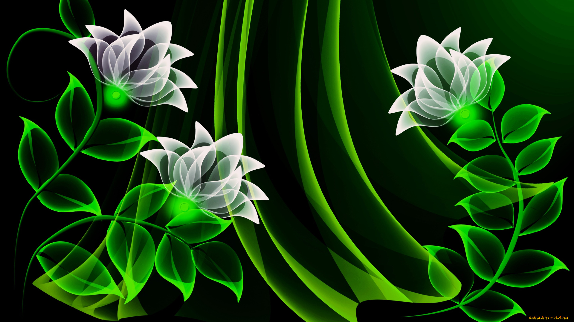 векторная, графика, цветы, , flowers, цветы, лепестки, фон