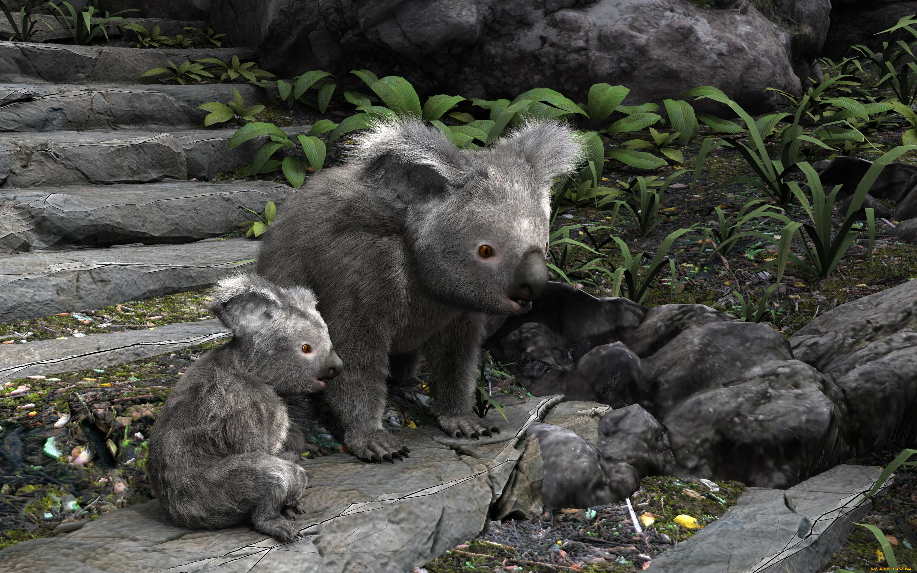 3д, графика, животные, , animals, коалы