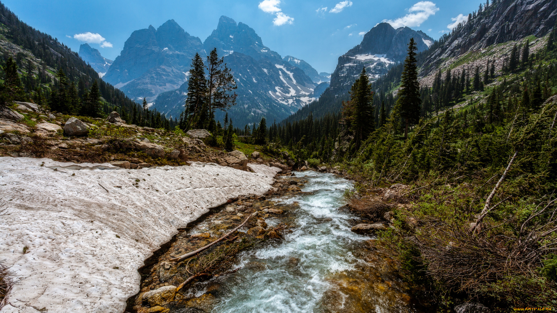 природа, реки, озера, река, лес