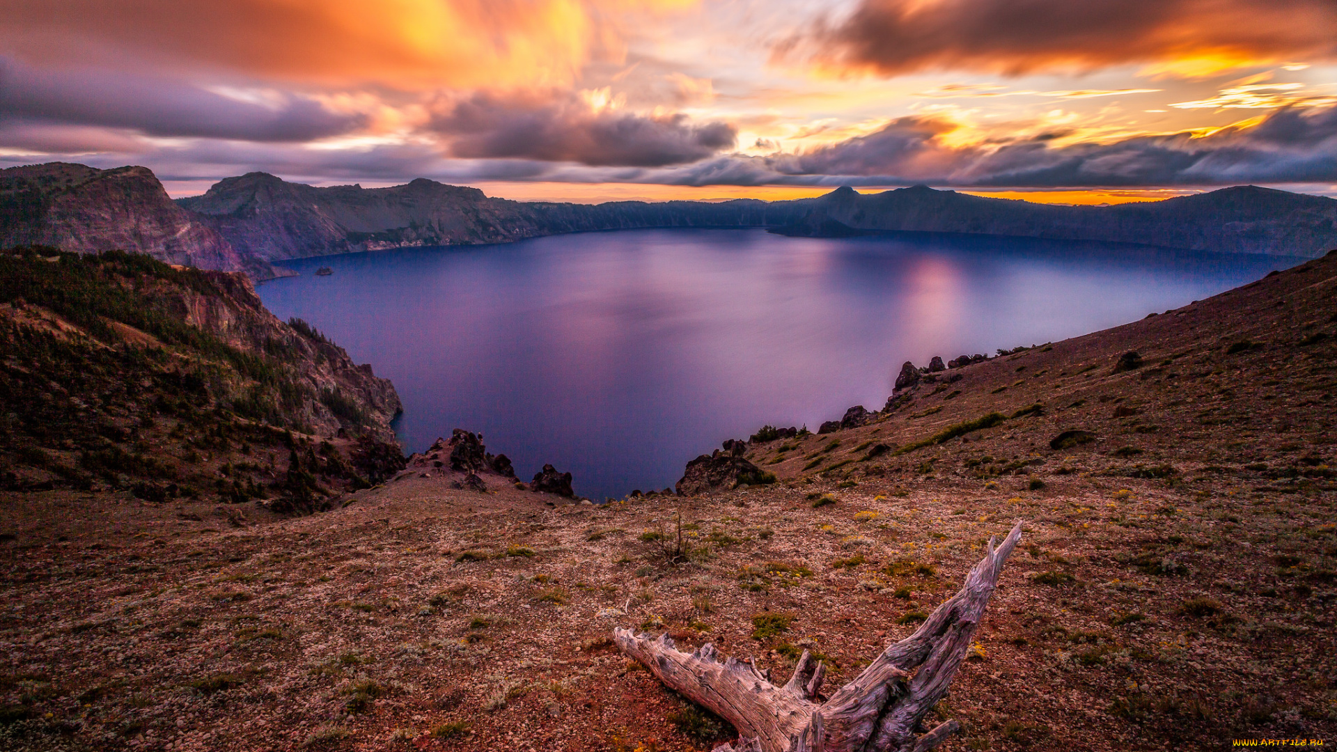 природа, реки, озера, река, лес