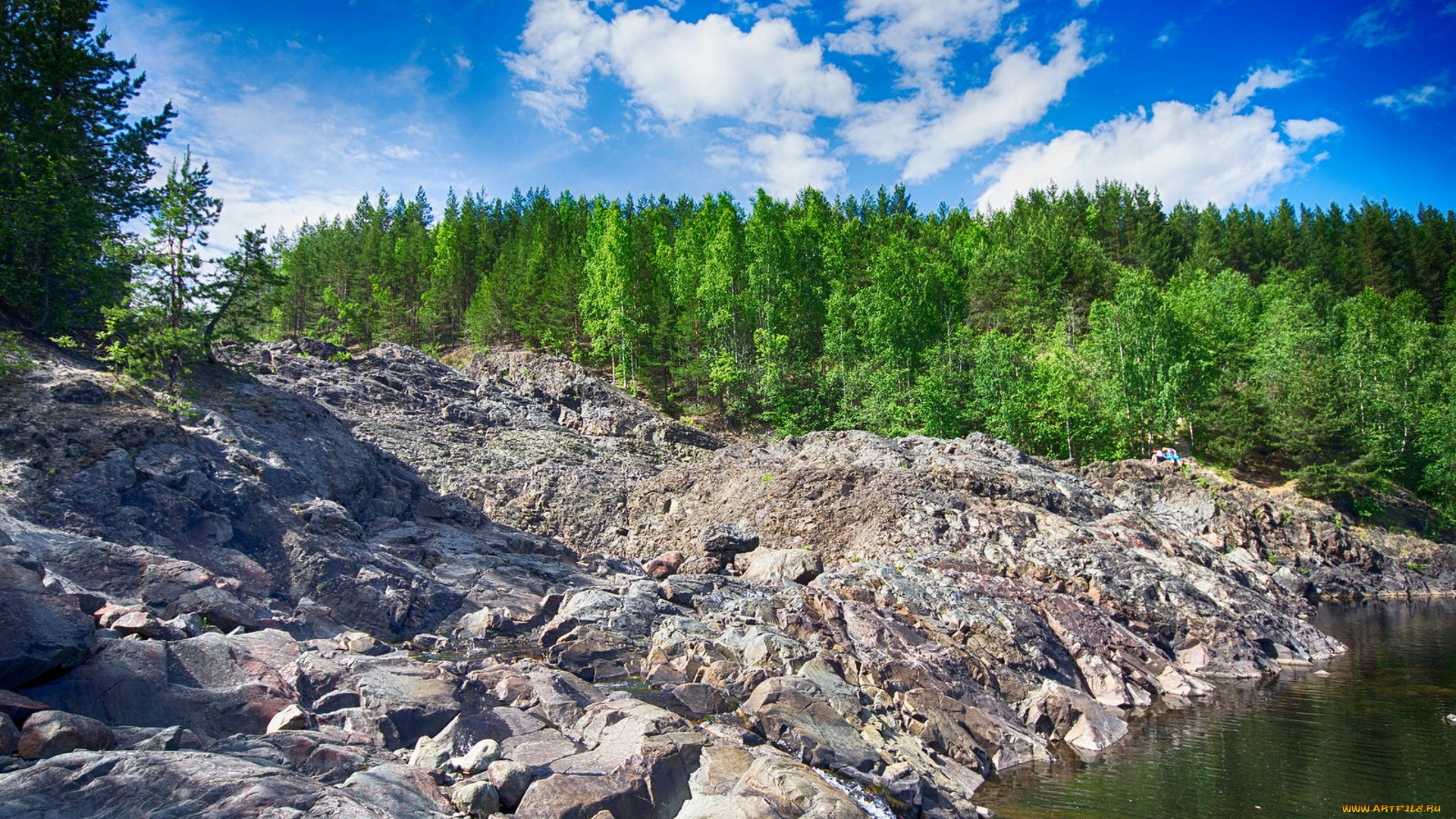 природа, реки, озера, река, лес