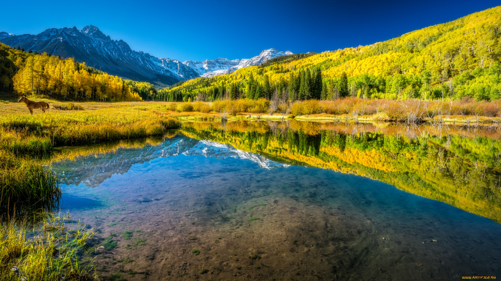 природа, реки, озера, река, лес