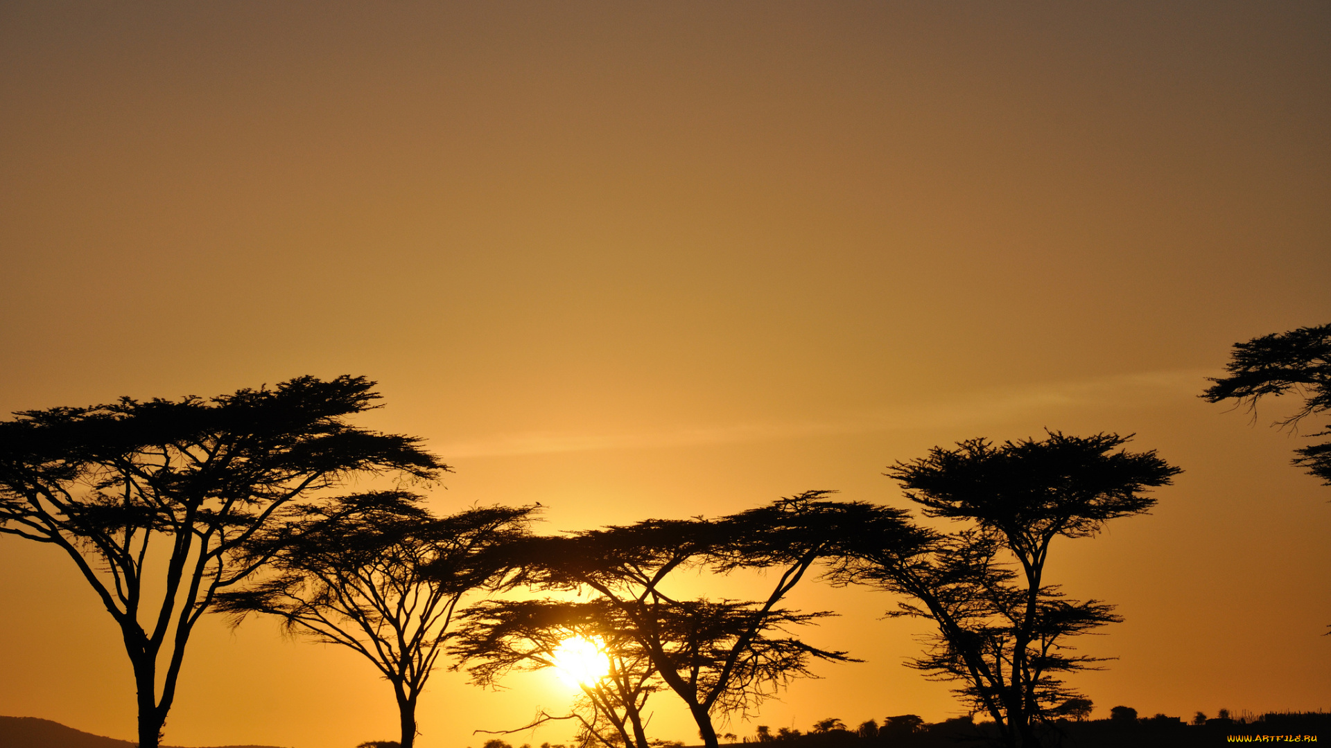 природа, восходы, закаты, рассвет