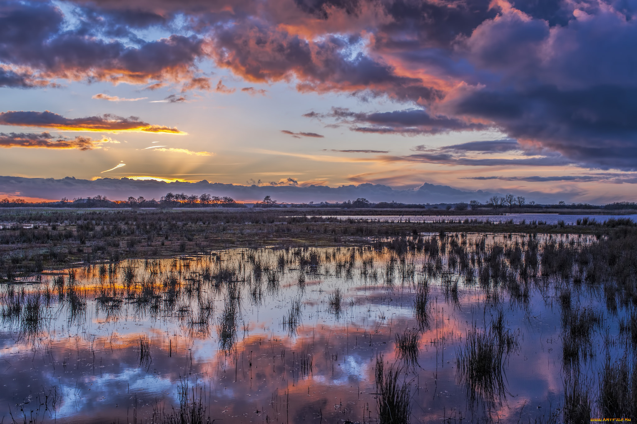 природа, реки, озера, лес, река