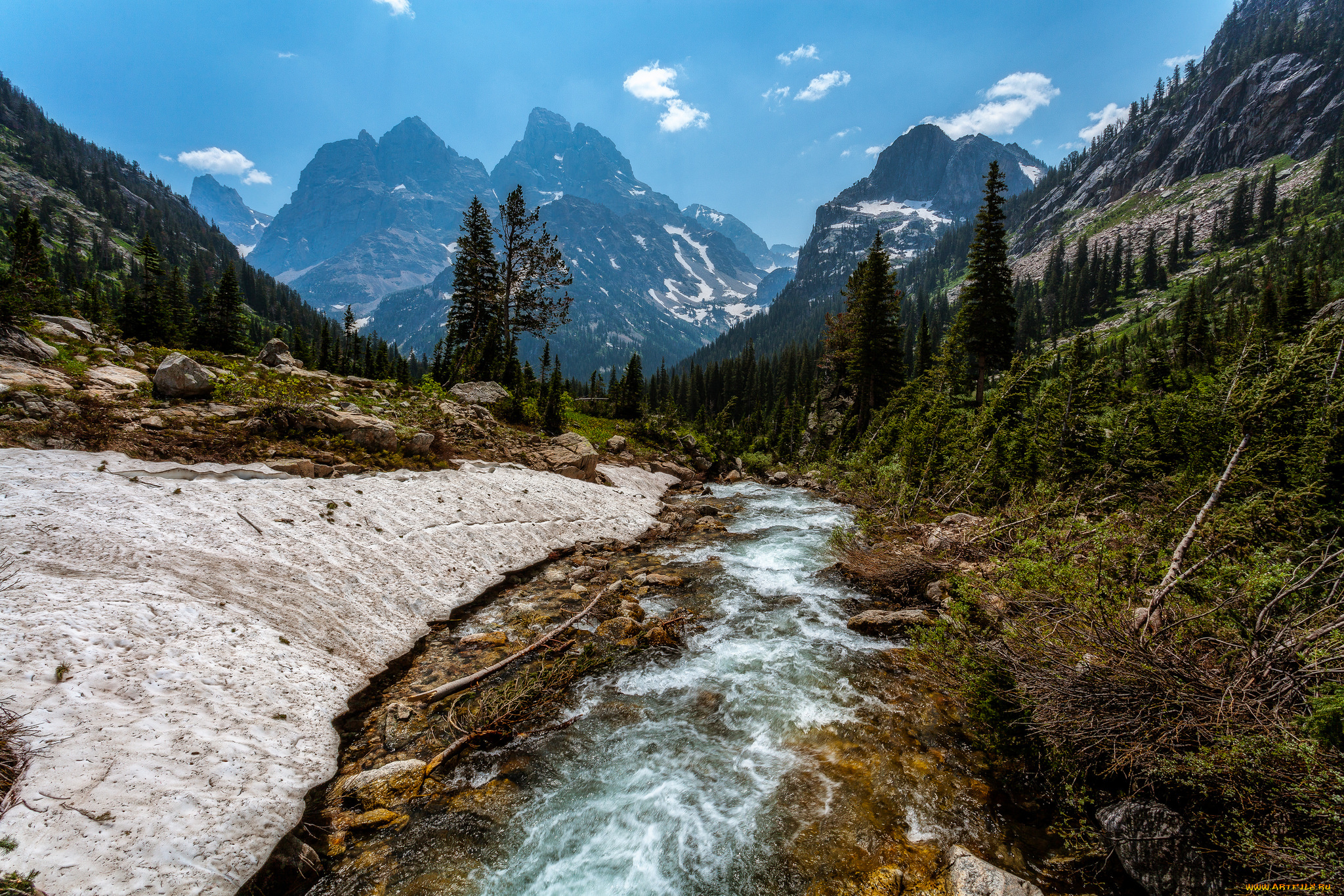 природа, реки, озера, река, лес