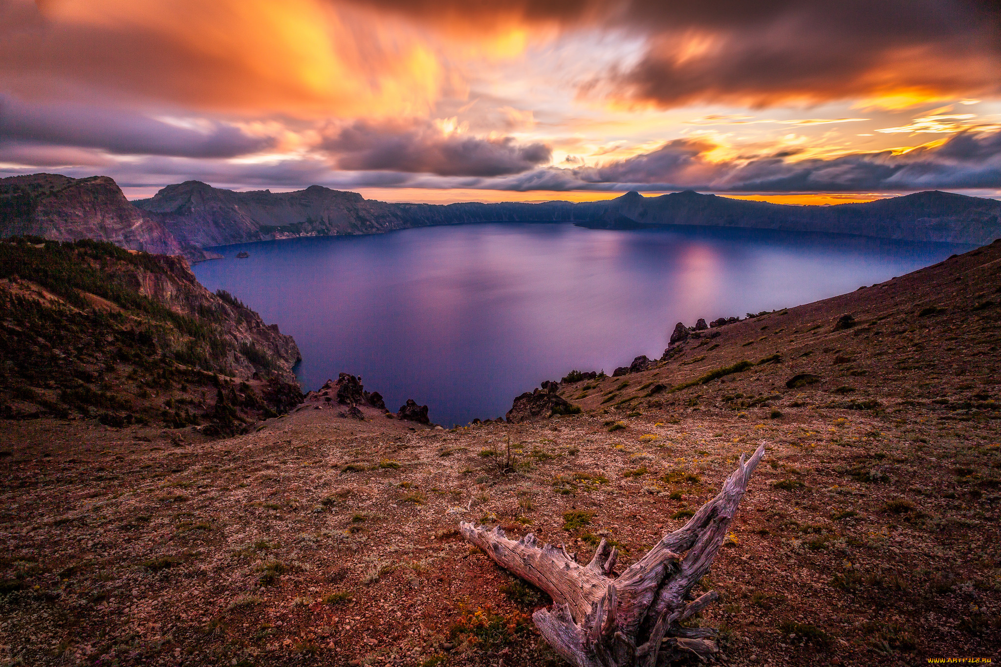 природа, реки, озера, река, лес