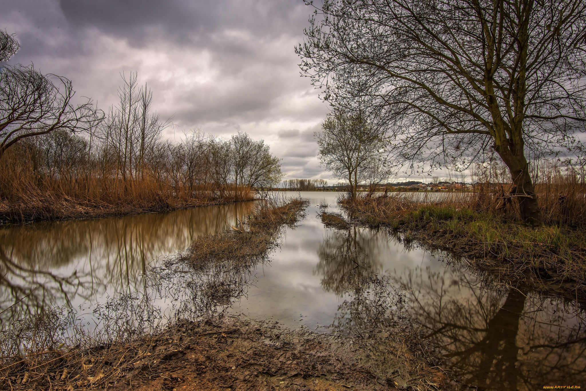 природа, реки, озера, река, лес