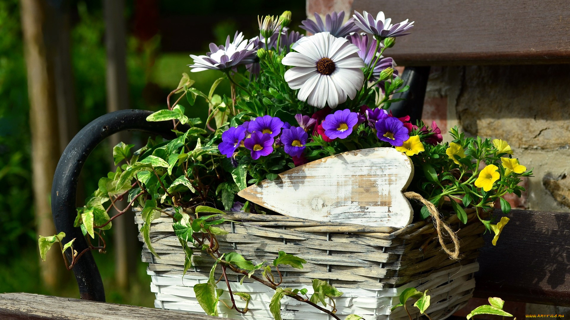цветы, разные, вместе, вазон