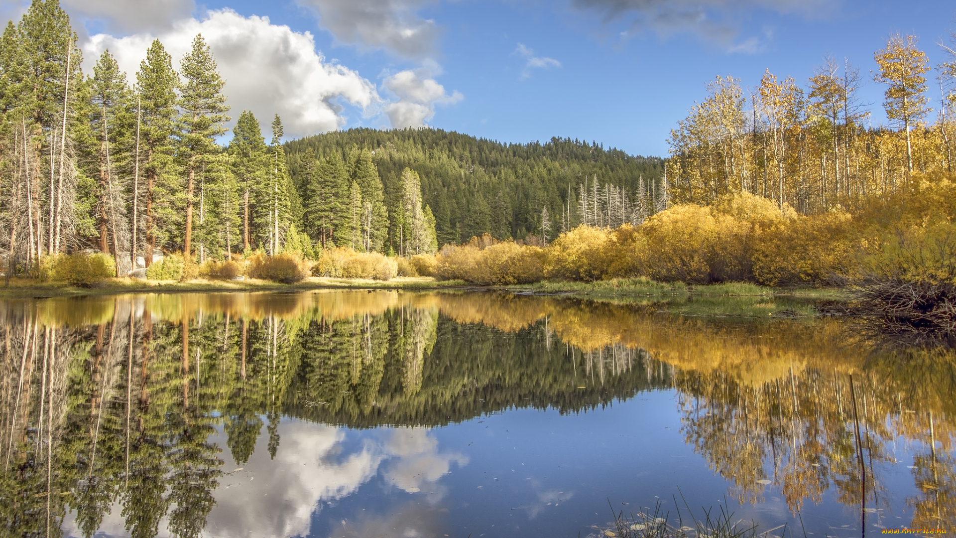 природа, реки, озера, простор