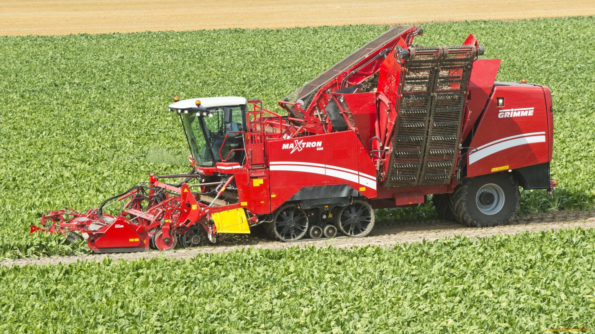 техника, комбайны, grimme