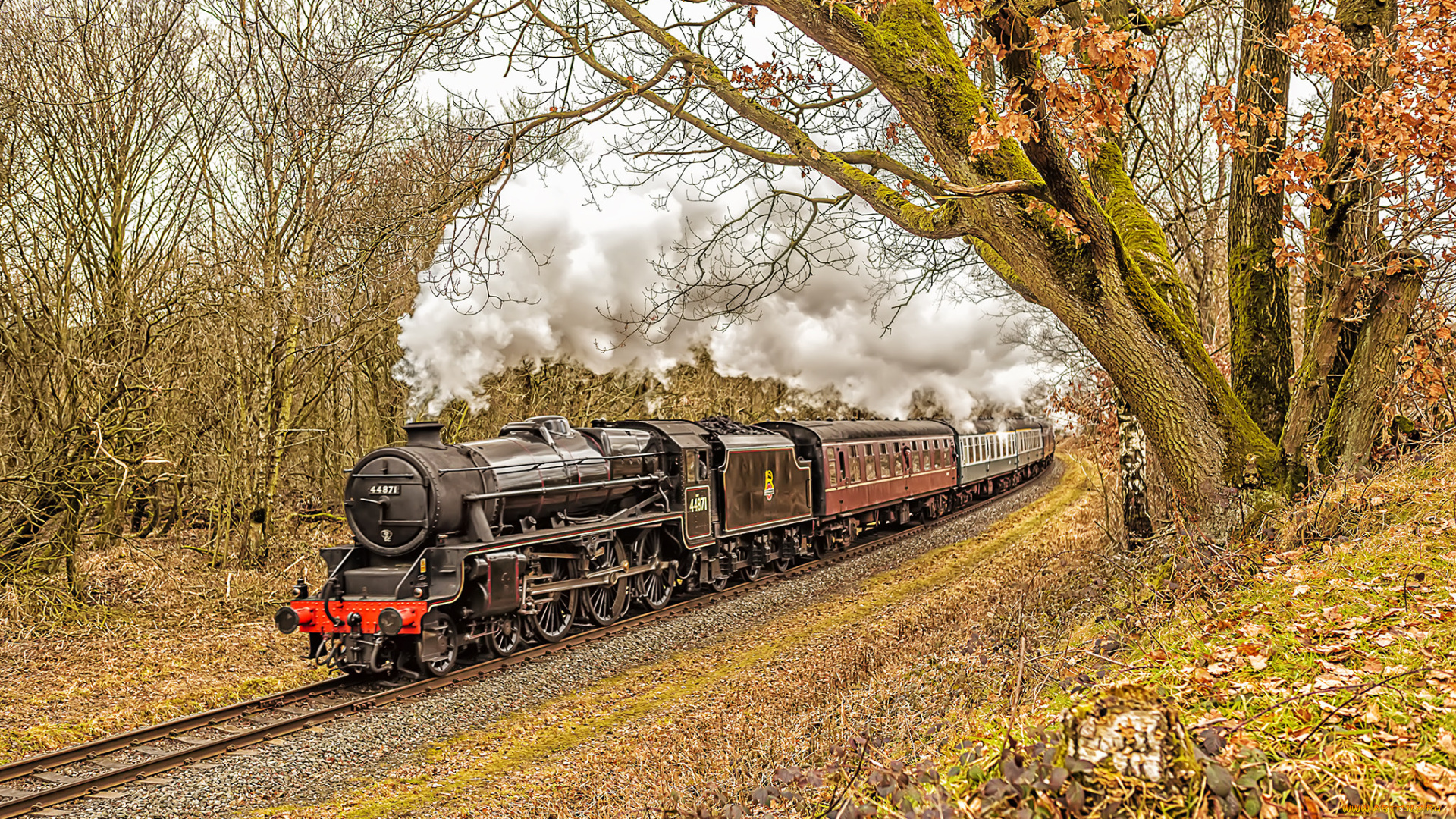 техника, паровозы, локомотив, состав