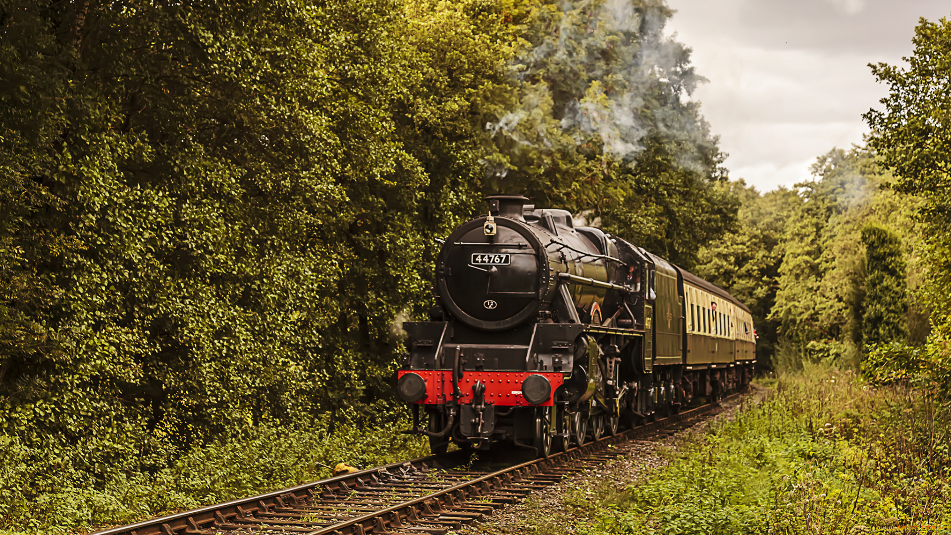 техника, паровозы, локомотив, состав