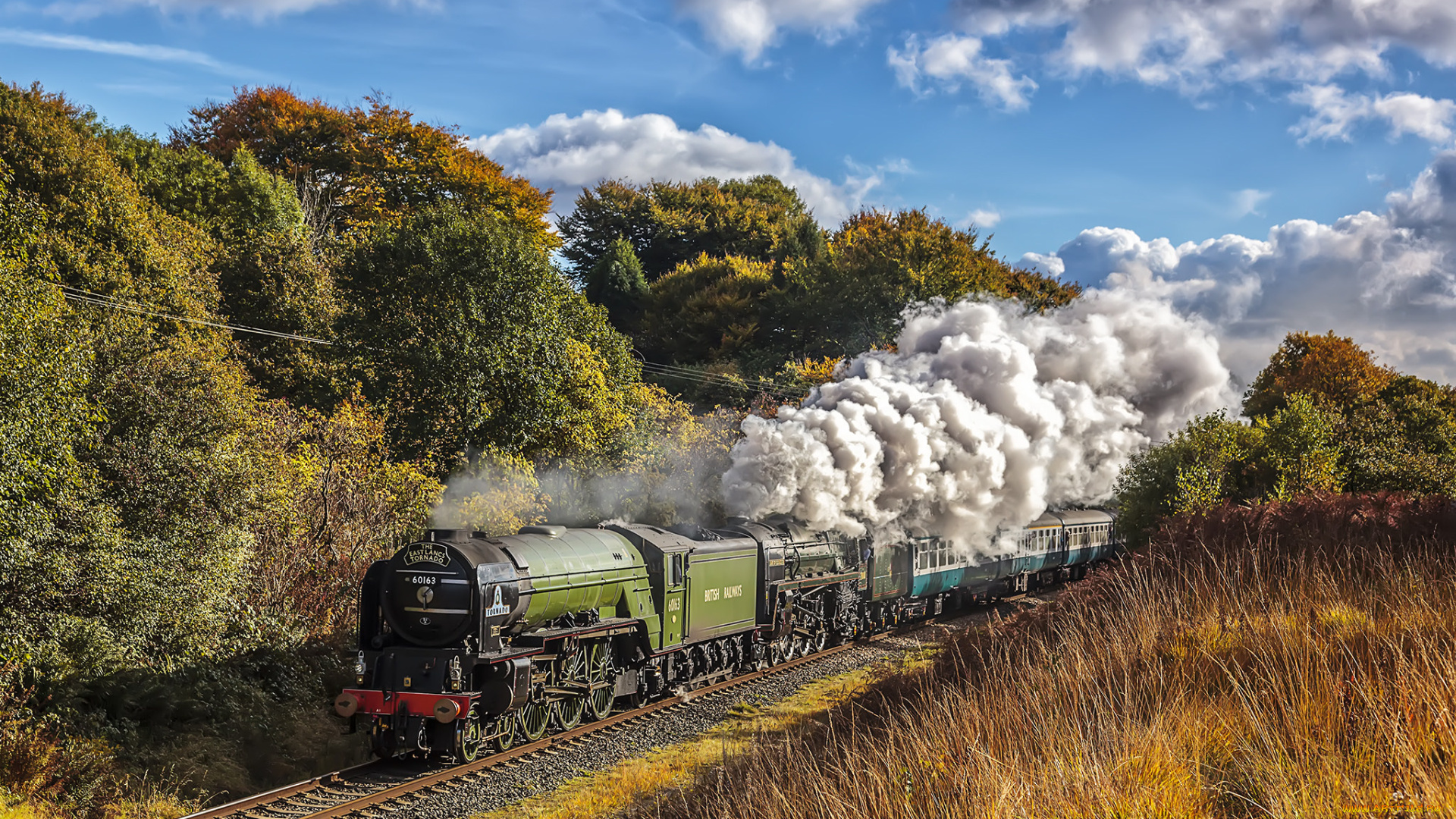 техника, паровозы, состав, локомотив