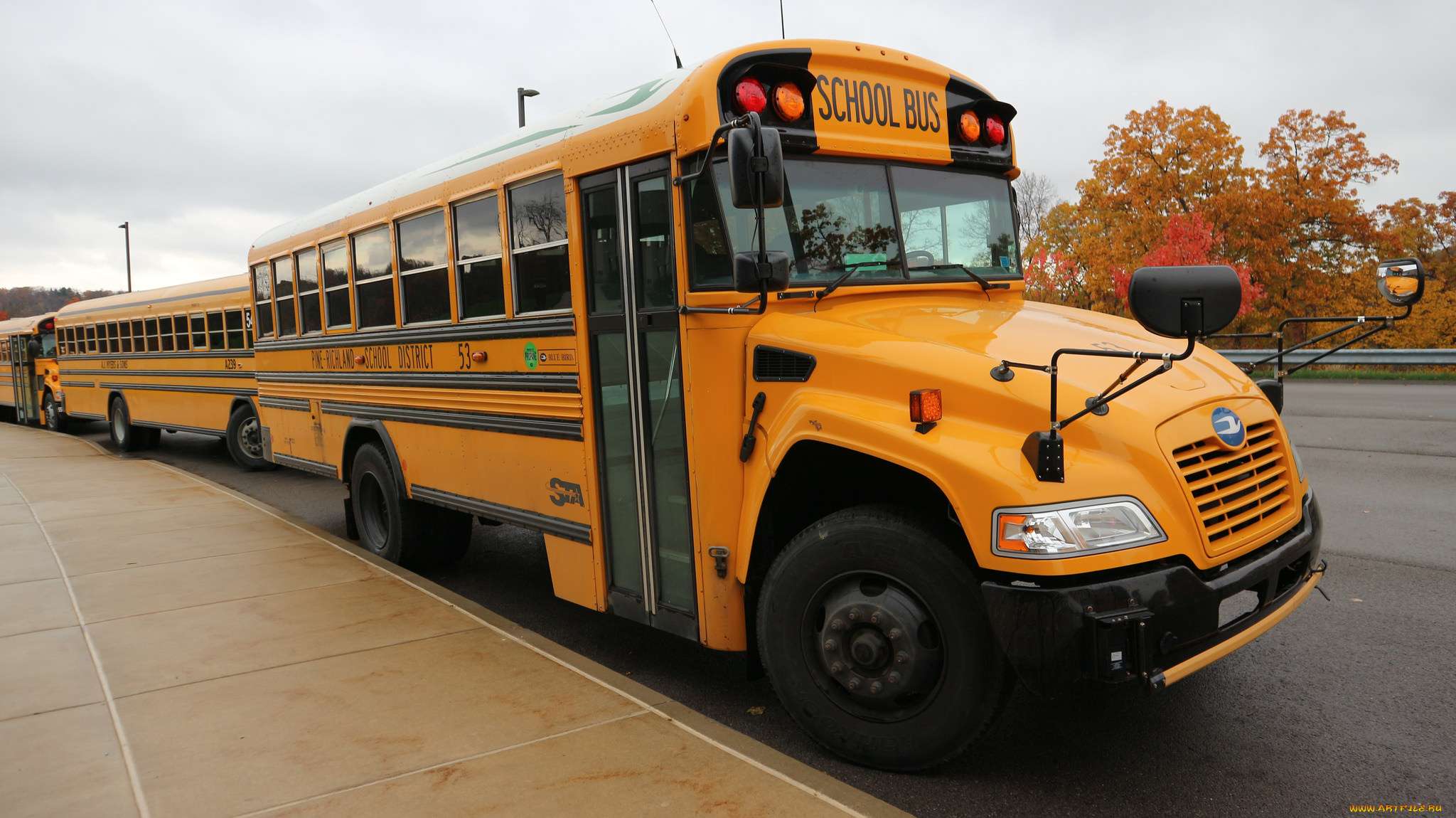 автомобили, автобусы, автобус, школьный