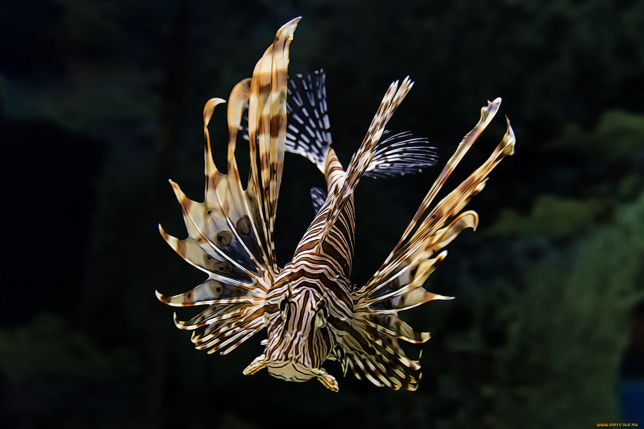 разное, компьютерный, дизайн, океан