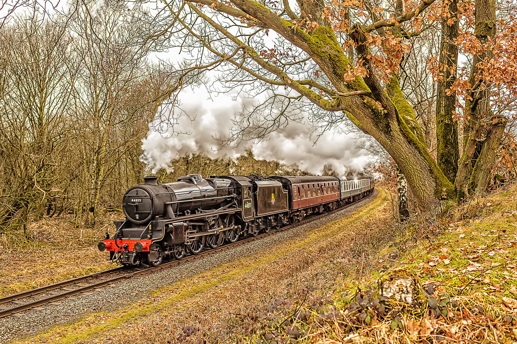 техника, паровозы, локомотив, состав