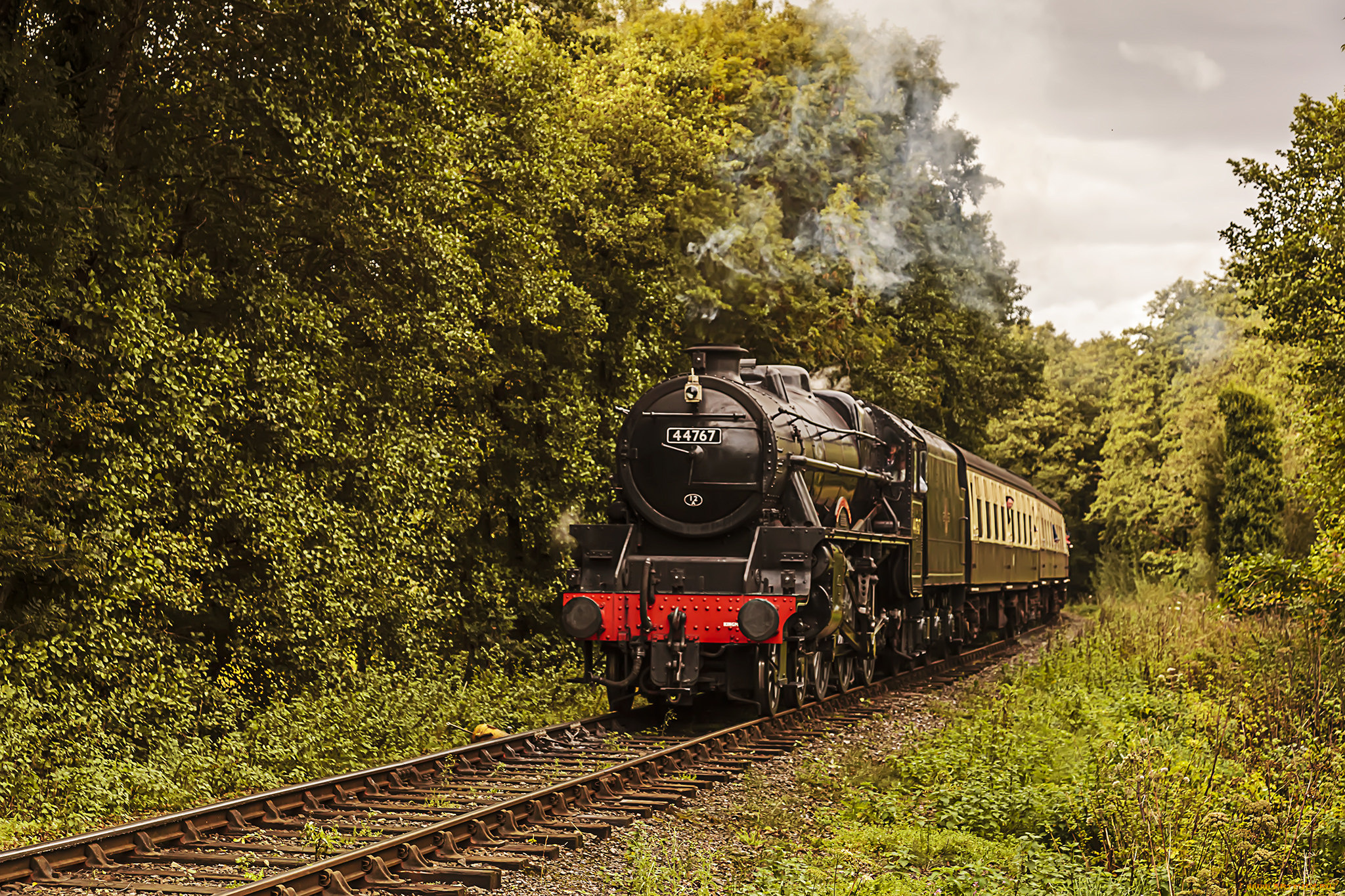 техника, паровозы, локомотив, состав