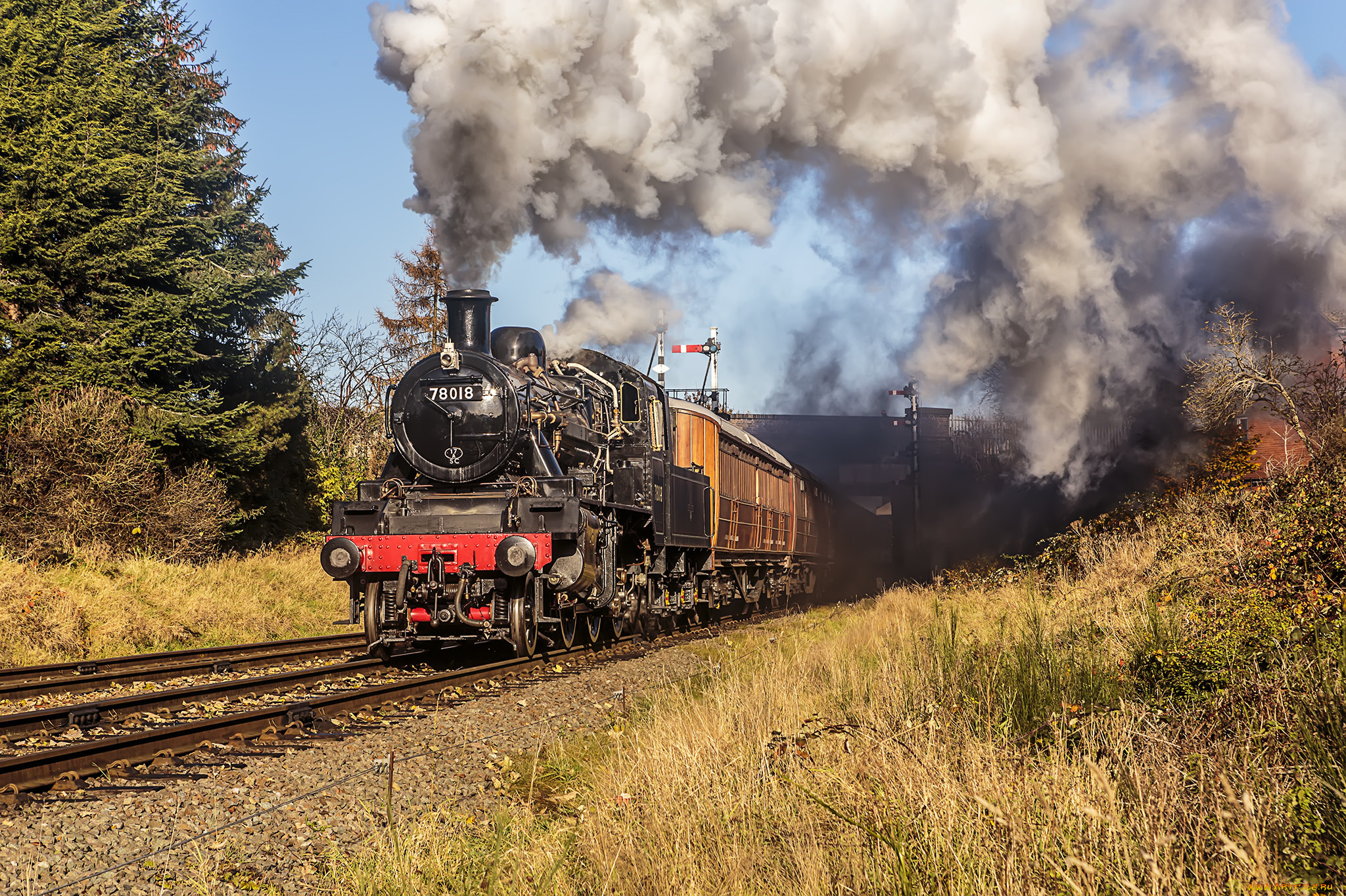 техника, паровозы, локомотив, состав