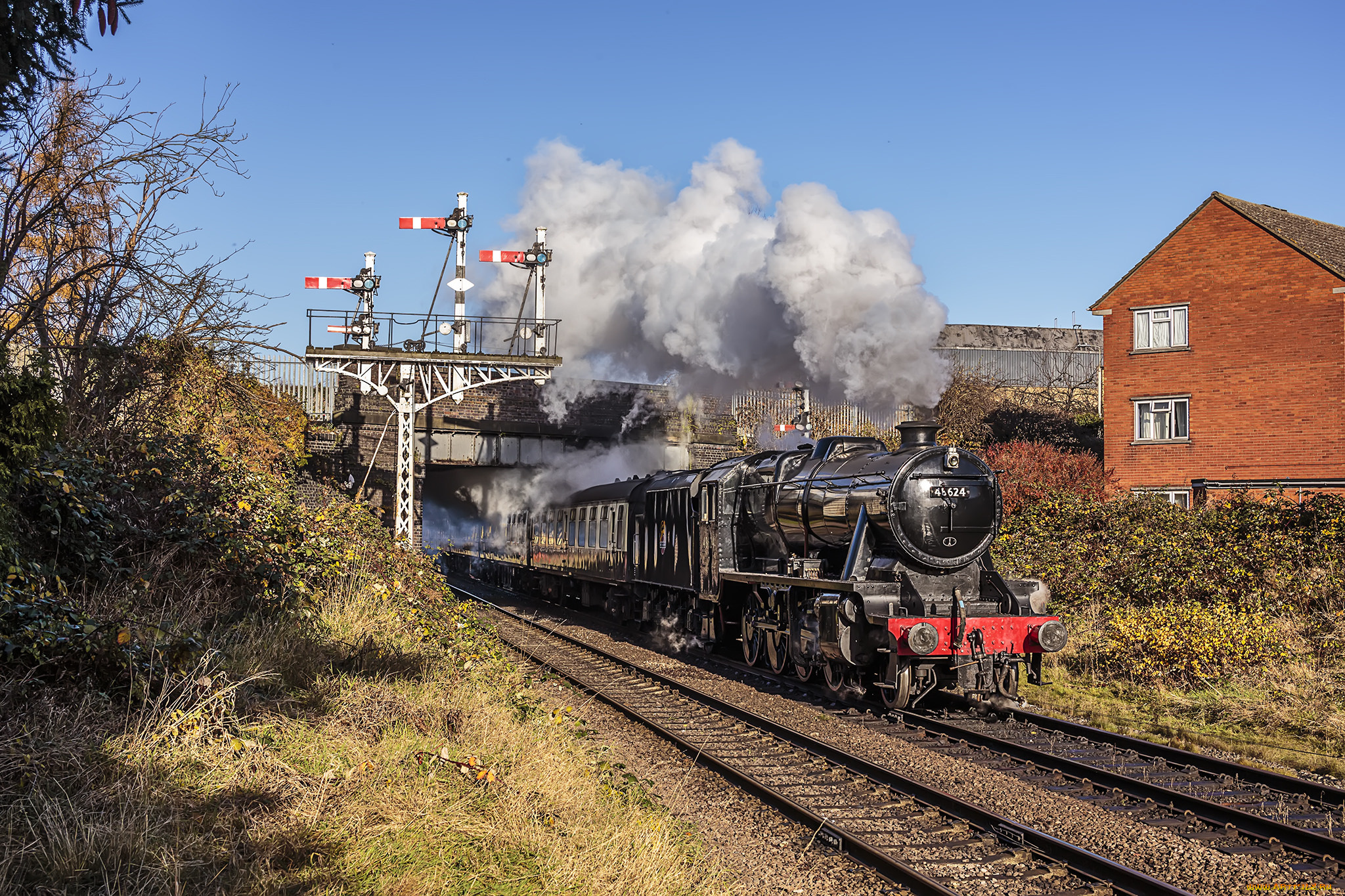 техника, паровозы, локомотив, состав