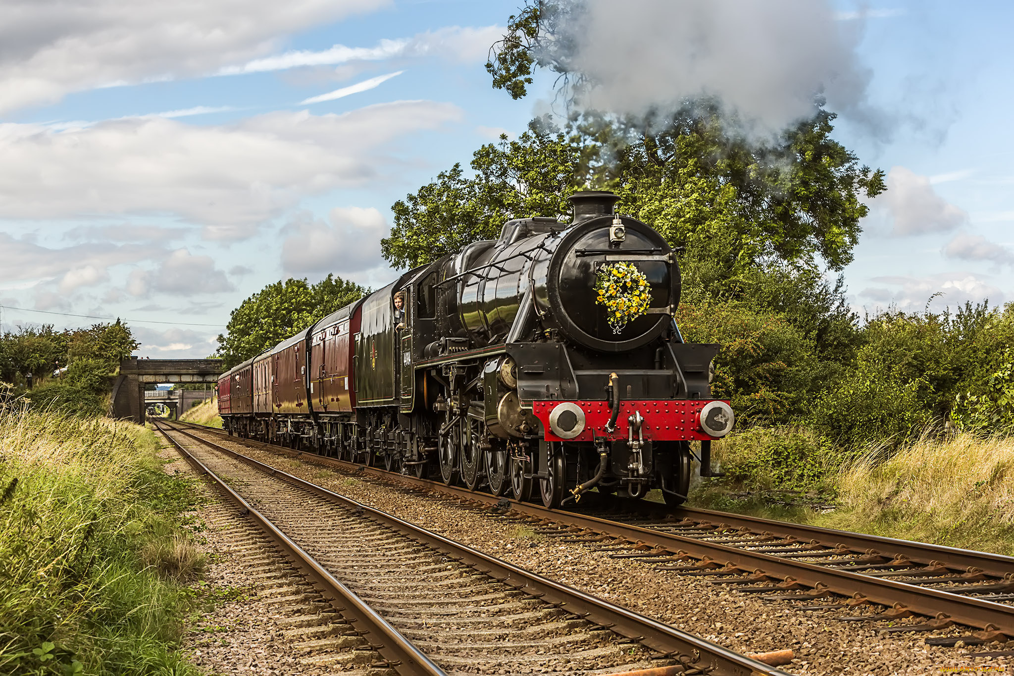 техника, паровозы, локомотив, состав