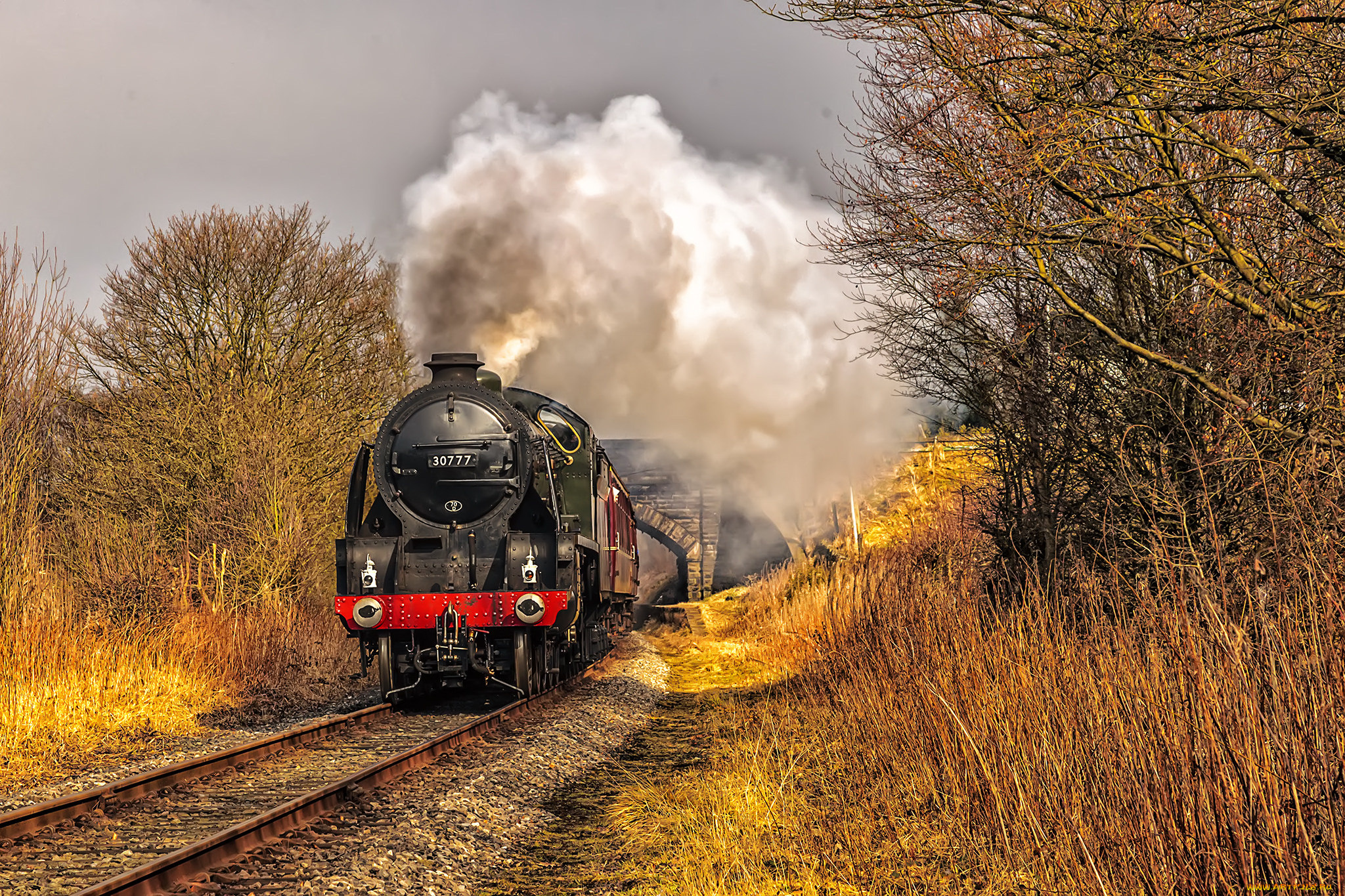 техника, паровозы, состав, локомотив