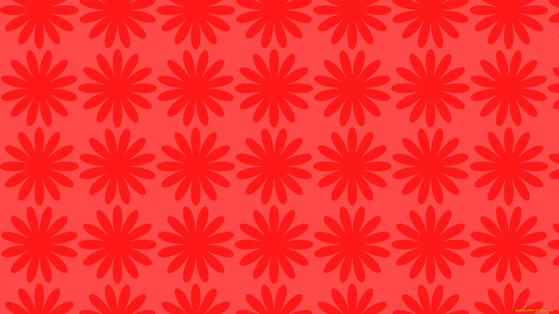 векторная, графика, -графика, , graphics, цвет, фон, узор